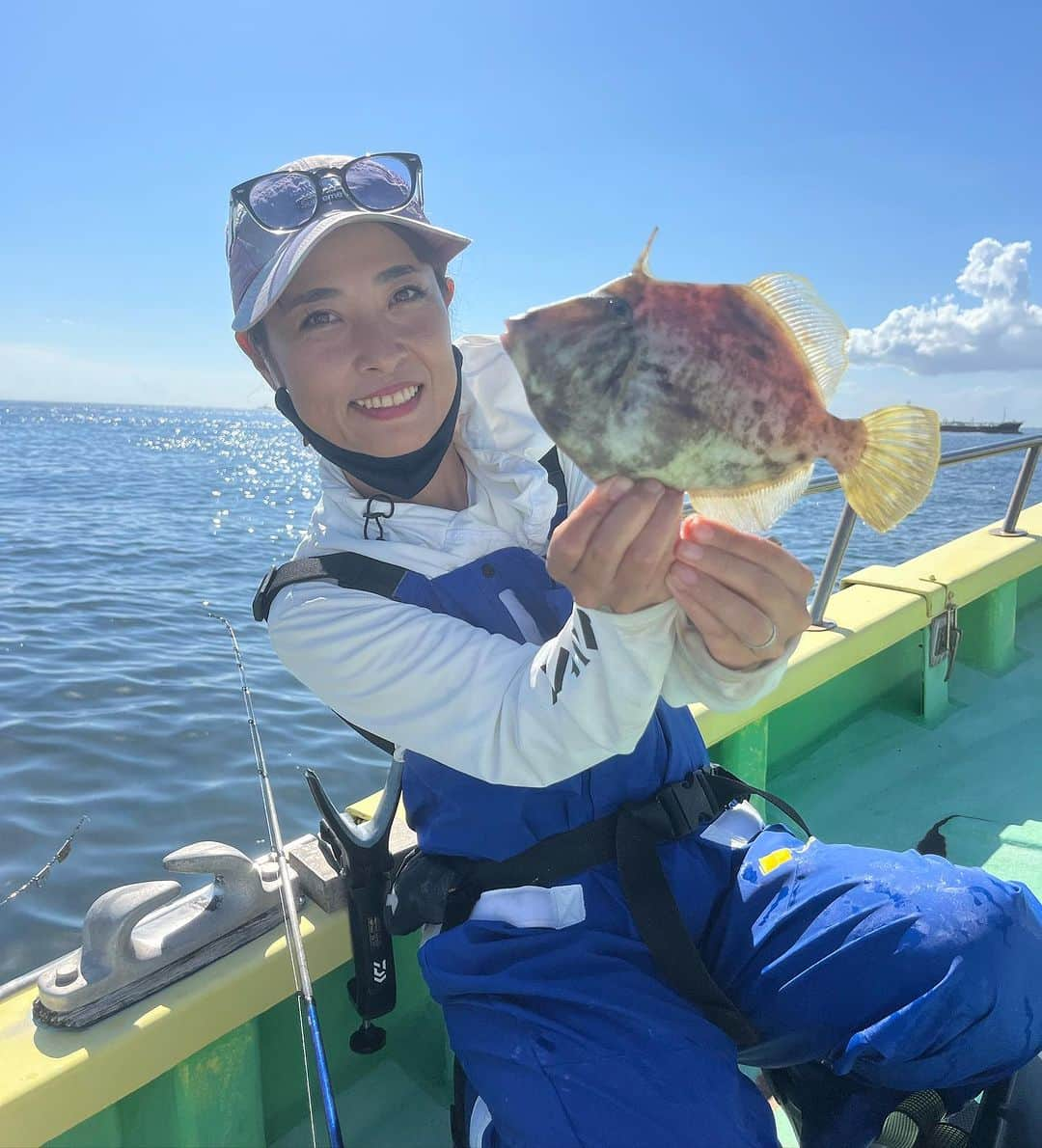 川目梢のインスタグラム：「海のフォアグラを求めて❤️  どーもどーも 本日のサンスポは 横浜市・野島夕照橋『新修丸』さんでカワハギ釣り🎣  ちと肝パンまで早いかしら？ と出掛けましたが  竹岡沖のカワハギさん 絶好調 ノリノリ  1尾目からパンパンちゃんが釣れて 気分よく 左うちわでやんした🫶  海堡や大貫の数釣りとはいきませんが 竹岡沖は良型の肝パンで勝負やーーー✊おー  潮温下がるまでは フグちゃんが邪魔するので 替えバリは多めに持っていきましょー🙋‍♀️  とにかく肝が 最強に美味かった🫶🫶🫶  #新修丸 #カワハギ #カワハギ釣り #釣り #釣りガール #釣り女子 #釣りスタグラム #釣りバカ #釣り好きな人と繋がりたい」