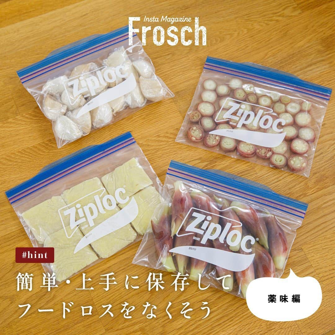 Frosch（フロッシュ）のインスタグラム