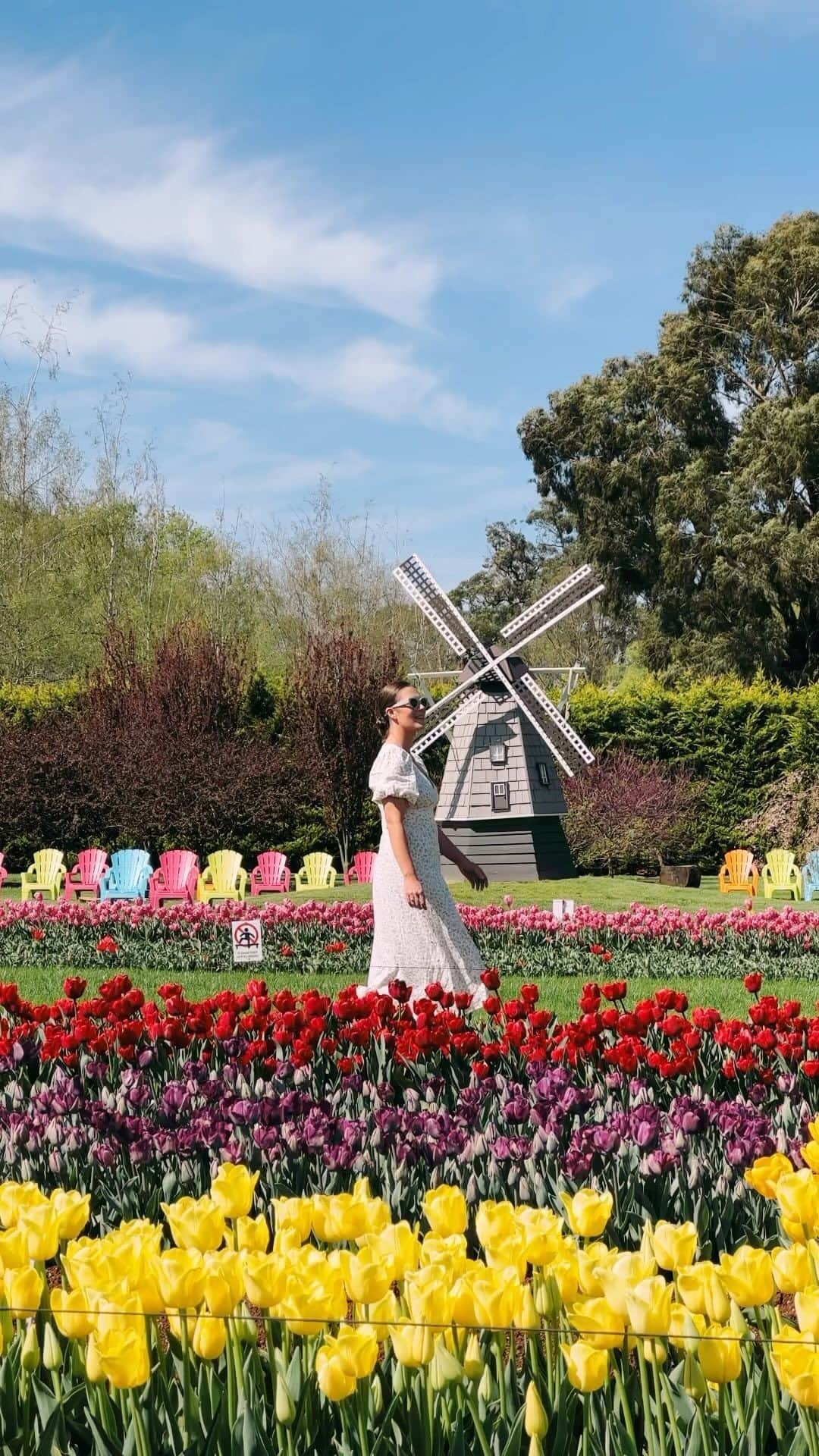 Australiaのインスタグラム：「Flowers? For us? Aww shucks, you shouldn’t have @visitmelbourne🌷🌷Until 15 October, immerse yourself in a floral wonderland at the annual @tesselaar_tulip_festival in the @yarravalleydandenongranges. Less than an hour from Narrm (#Melbourne), feast your senses on live entertainment, global cuisine, bustling market stalls, tractor train rides, and much more! These vibrant colours and festive vibes are not to be missed!   🎥: @thecommonwanderer for @visitmelbourne   📍: Silvan, @yarravalleydandenongranges, #Victoria - home to the Wurundjeri people.   #SeeAustralia #ComeAndSayGday #VisitMelbourne #VisitVictoria CreateYourOwnAdventure  ID: A woman in a white, flowy dress wanders through fields of tulips. The video captures both close-up views of the flowers and aerial perspectives of the fields.」