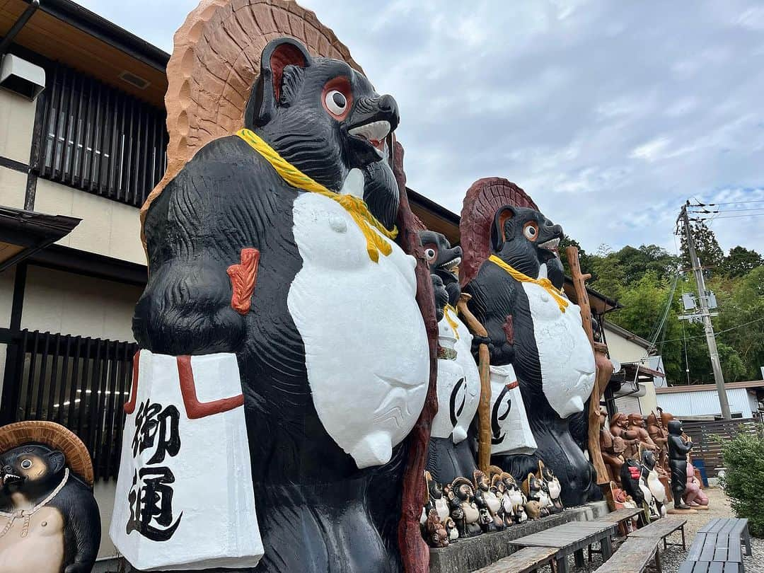 原田良也さんのインスタグラム写真 - (原田良也Instagram)「#たぬ映えフォトコンテスト  #たぬ映え2023 #信楽たぬきの日 #11月8日 #ハラダの誕生日 #巨大すぎるたぬき」10月10日 18時00分 - irasshassee