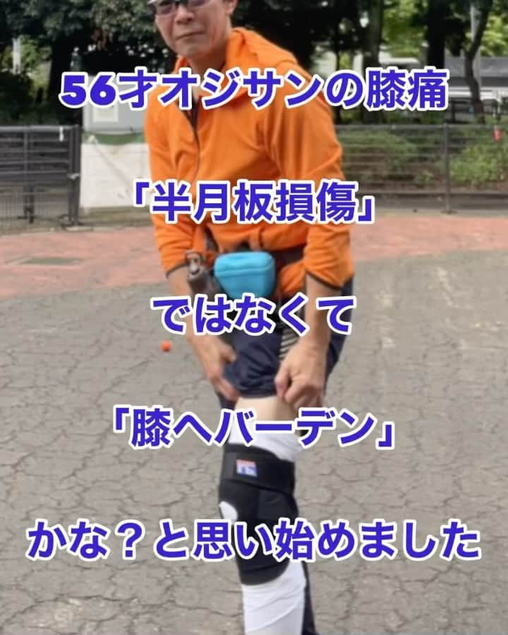 nobuaki.aokiのインスタグラム：「56才オジサンの膝痛のリハビリです 整形外科で「半月板断裂」との診断を受けたのだけど、内側の骨の上を少し押さえただけで痛むし、寝ていても比較的表面が「ズキズキ」と痛むし「本当に半月板断裂の痛みなのだろうか？」と疑問が増すばかり。そんなところで以前買って読んでなかった「へバーデン結節」の本に目を通すと思い当たる点が多いではありませんか⁉️ 医学的には手の指の疾患なのですが、この本では全身の関節に起こるのではないかと定義。オジサンはもともと小指がそうだし、思い起こすと痛むパターンが類似してるなと。 そこでその本で勧めていた包帯固定を実施することにした次第です。10/9(月)から始めて2日目ですが、まぁまぁ良いかも！と言ったらところです。これを2〜3週間続ける予定です。経過をまたアップしますね。ではまた！#膝のリハビリ #膝痛 #変形性膝関節症 #へバーデン結節 #膝へバーデン#半月板断裂 #半月板損傷 #体幹トレーニング #ウォーキング #青木治療院然」