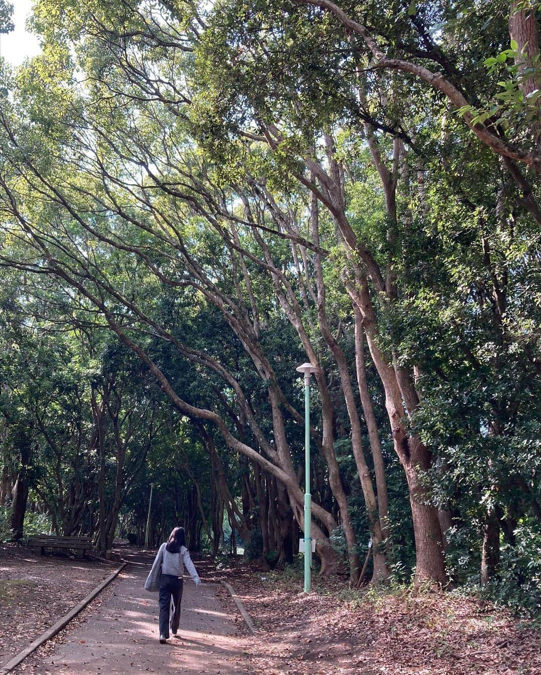 江藤遼さんのインスタグラム写真 - (江藤遼Instagram)「🍃✌️😊✌️🍃  妹と公園に行ってニコニコダブルピース」10月10日 18時39分 - etooo3