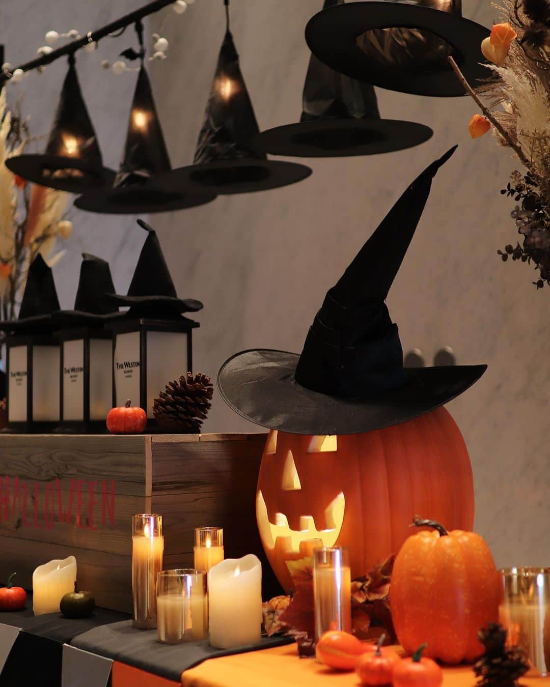 THE WESTIN KYOTO ウェスティン都ホテル京都のインスタグラム：「10月はロビーにハロウィーンの装飾が登場🎃 魔女の帽子をかぶったジャックオーランタンやゆらゆらとした光を放つキャンドルやランタンなどハロウィーンムードでみなさまをお迎えしています。 🎃🎃👻👻🎃👻🎃👻🎃  Halloween decorations appeared in the lobby in October! Jack-o'-lanterns in witches' hats, flickering candles and lanterns, and other Halloween decorations welcome you to the lobby.  📸(1-4枚)by@aliceneko0618  #halloween  #ハロウィーン　#ハロウィン #ホテルロビー　#hotellobby  #ウェスティン都ホテル京都 #westinmiyakokyoto」
