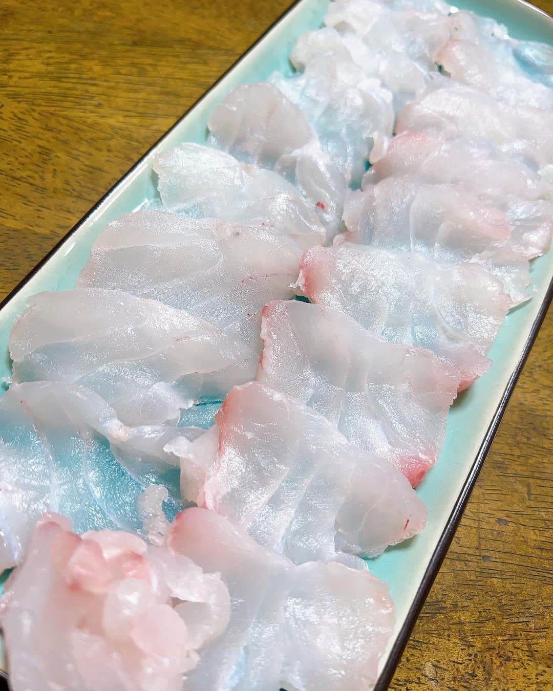 のインスタグラム：「今夜私が頂くのは... 10日寝かせたマハタ！  加領郷フィッシャリーズ魚舎さんで丁寧に処理していただいたので更に美味しくなったマハタ✨  左手が良質な脂でテカテカになりました✨  お刺身も炙りも皮の湯引きポン酢も格別だった🥹  マハタ鍋も楽しみだなー♪  #釣り #fishing #マハタ #根魚 #魚料理 #刺身 #炙り #加領郷フィッシャリーズ魚舎」