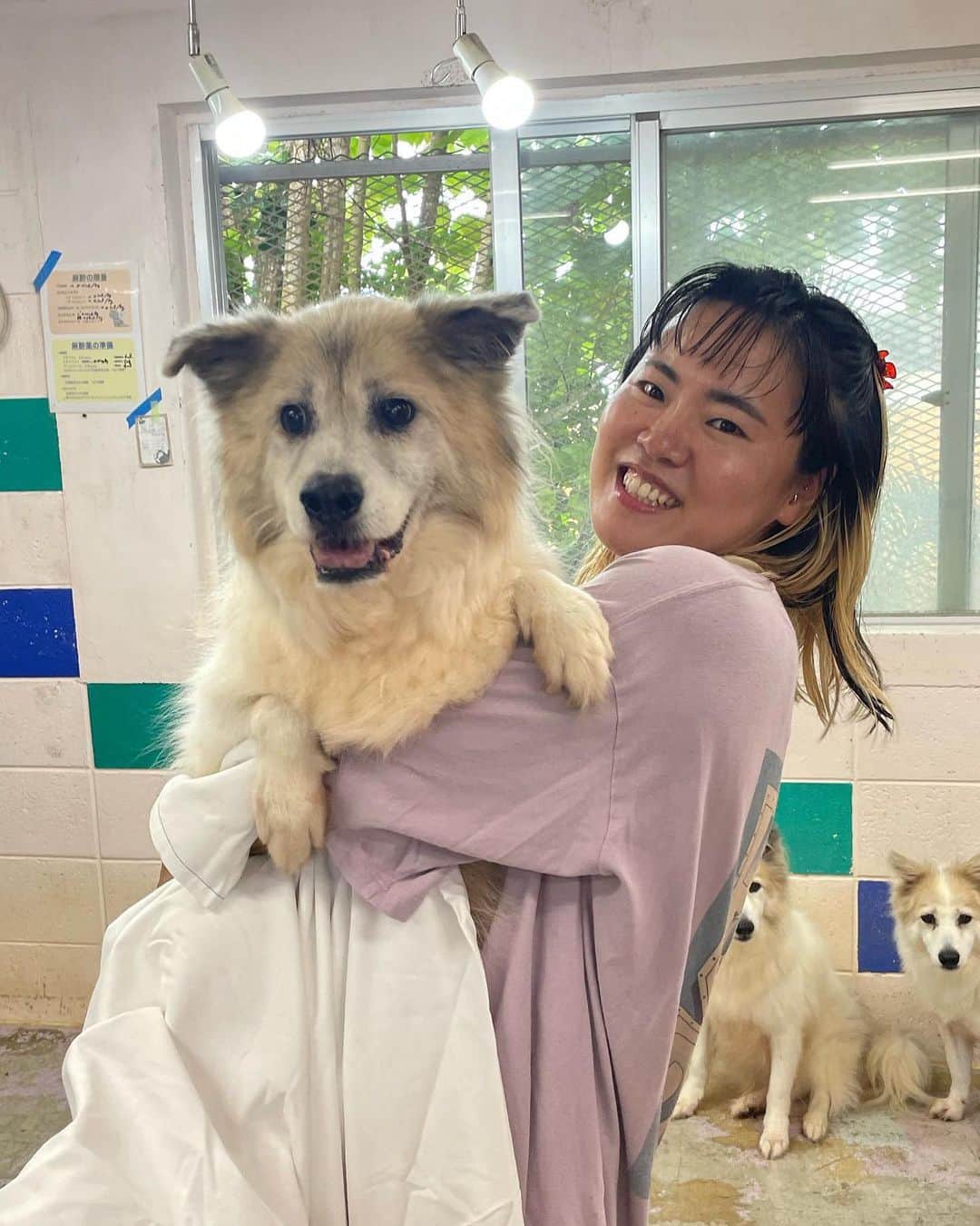 中原絵梨奈のインスタグラム：「いいなーいいなー  俺も個展行きたい🐕✨  Byドナルド🐤...♪*ﾟ」