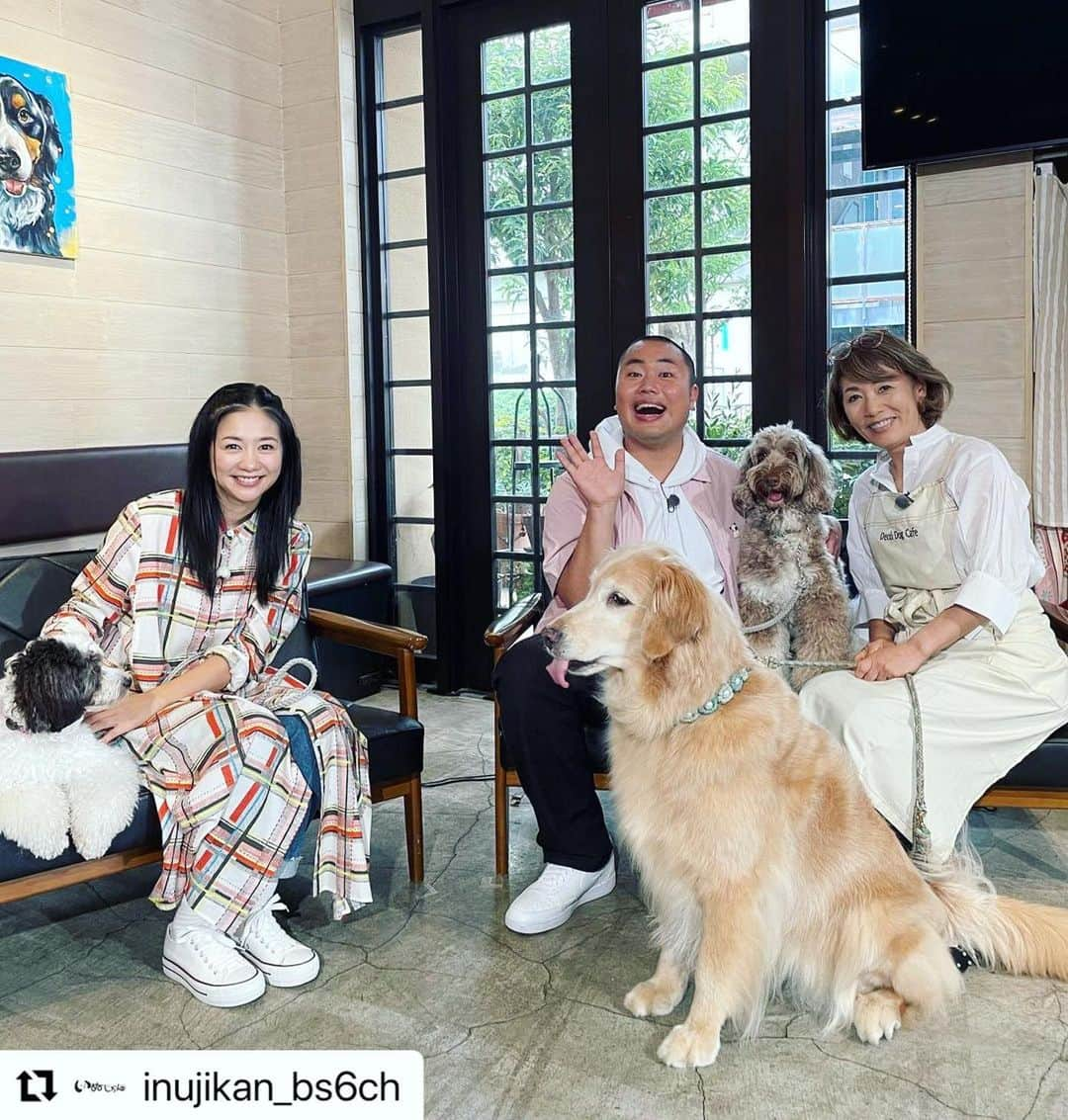 関根麻里さんのインスタグラム写真 - (関根麻里Instagram)「ぜひご覧ください😊🐕  #Repost @inujikan_bs6ch with @use.repost ・・・ 🐈🐈‍⬛🐈🐈‍⬛  今夜のラインナップは ★50以上の技を持つ芝犬コンビ ★運動神経抜群、波乗りサーファー犬 ★危険な犬を人馴れさせるプロ ★ＭＣ二人がドックフードを実食  ※今夜は再放送です  ▼YouTubeチャンネル ねこ自慢&いぬじかん【BS-TBS】 https://www.youtube.com/channel/UCSA6AGXkn-3FB8BkM9pQtlA  ▼いぬじかん TVer 🔍「TVerいぬじかん」で検索 https://tver.jp/series/srii9wv0gf  #いぬじかん #関根麻里 #ハナコ #岡部大 #いぬ #dog #犬 #いぬ #アビアン #スタナー  #いぬ番組」10月10日 19時43分 - marisekine