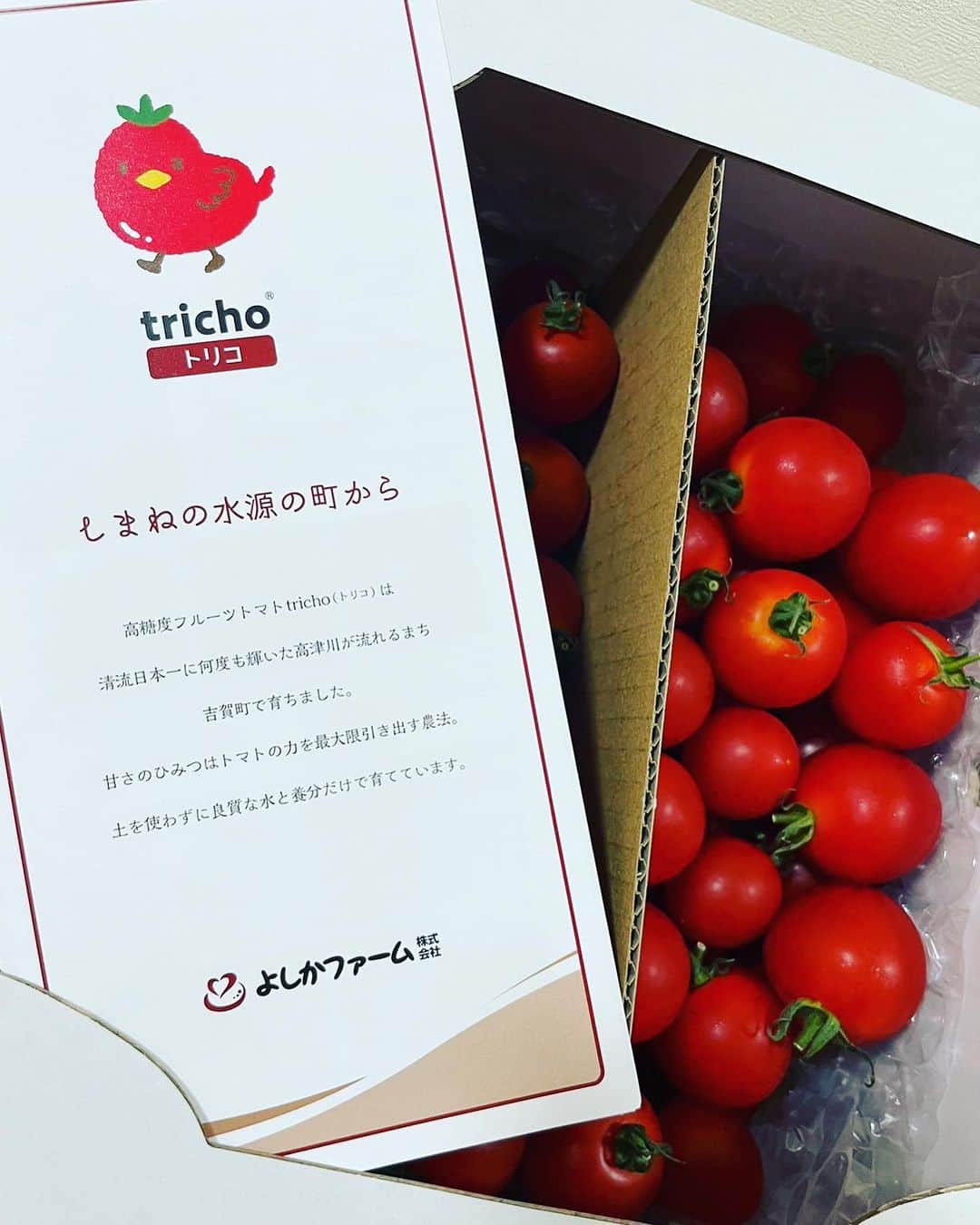 眞庭城聖さんのインスタグラム写真 - (眞庭城聖Instagram)「【tricho(トリコ)】 高濃度フルーツトマト tricho(トリコ)🍅 よしかファーム様のトマトは土を使わずに良質な水と養分だけで育てるトマトの力を最大限引き出す農法で、甘みと旨みがぎっしり詰まったトマトです🍅  GABA ロクエン酸 機能性表示食品 で、とても美味しく頂きました‼️オススメです🍅  @kyowarubber @yoshika_farm  @takeshi_terasaka   #島根県  #島根県吉賀町  #よしかファーム  #よしかファーム株式会社  #高糖度フルーツトマト  #機能性表示食品  #アイメック農法  #tricho  #トリコ  #トリコトマト」10月10日 21時57分 - money_0527