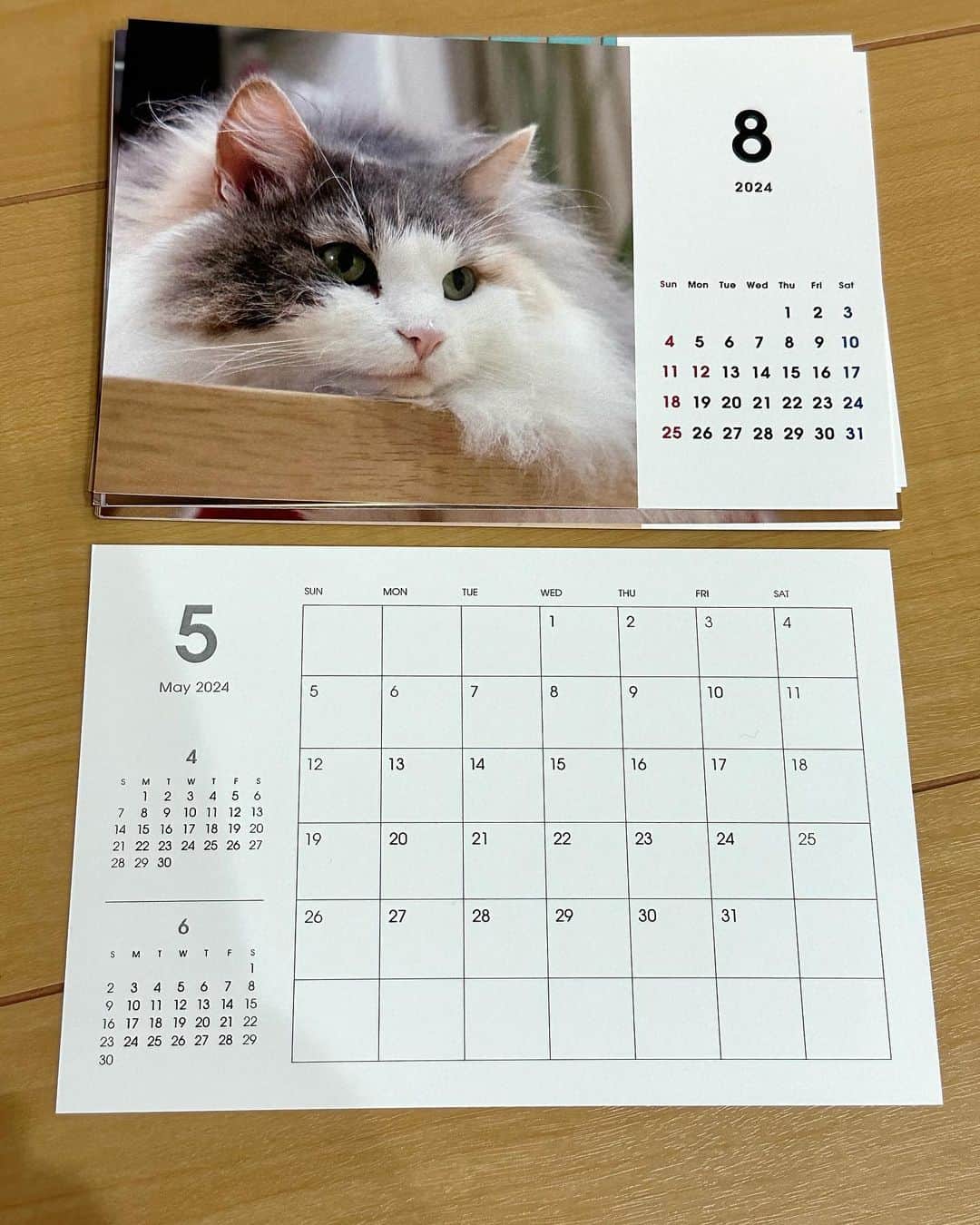 こむぎこまるさんのインスタグラム写真 - (こむぎこまるInstagram)「. . . 🌹スワイプしてね　Swipe→🌹 . . こむぎ卓上カレンダー2024です😸🌹 . こちらも発注数の目安が欲しいので、購入希望の方はコメント欄にコメントして下さい😊 . こちらもメルカリで販売します。 . お値段は1300円程度を予定しています。 . 宜しくお願いします🙇‍♀️ . . Komugi Calendar 2024 It is a desk calendar. Scheduled to be released for 1300 yen. I will sell it on Mercari. . . #こむぎカレンダー #オリジナルカレンダー #norwegianforestcat  #ノルウェージャンフォレストキャット  #calendar」10月10日 22時05分 - mugimeshi323