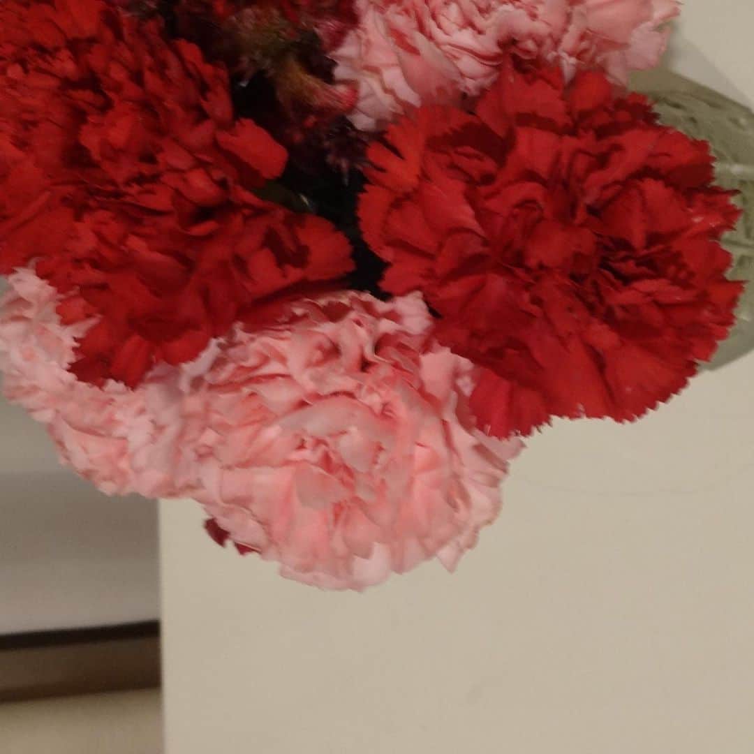 白河れいさんのインスタグラム写真 - (白河れいInstagram)「お仕事の現場でお花をいただきました。 こんなに嬉しいことはありません💐 ありがとうございました💐」10月10日 22時30分 - rayshirakawa