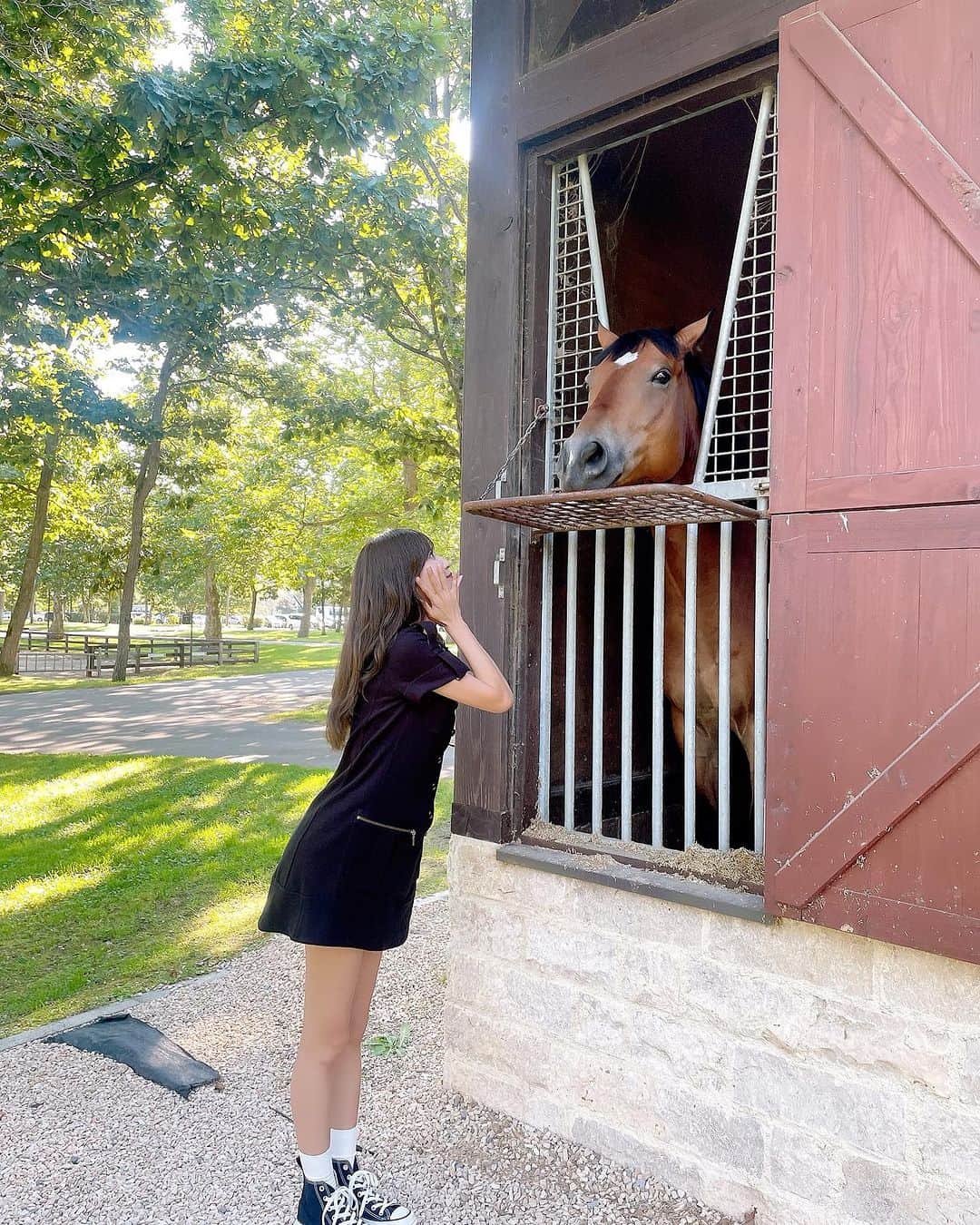 金澤有希さんのインスタグラム写真 - (金澤有希Instagram)「🐴いつか検定取りたい！」10月10日 22時42分 - yuuki_kanazawa0501