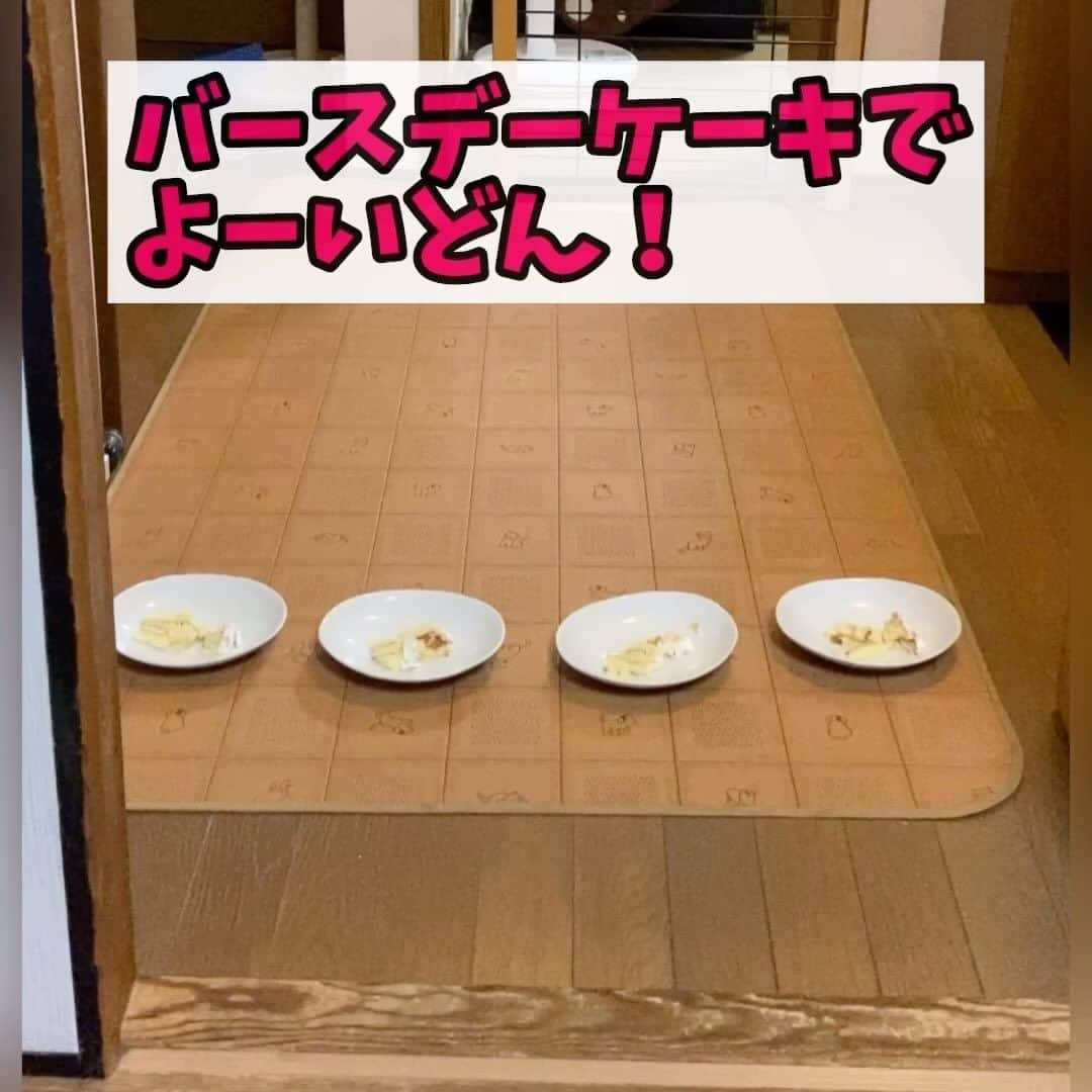 メルロコ一家の楽屋裏のインスタグラム