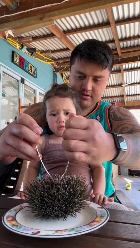 Padgramのインスタグラム：「@louisdavis____  daughter tries Kinas for the first time and it is the most adorable thing you will see 😍😩  Kina is a sea urchin species found in New Zealand out of 200 types of sea urchin all over the world.   🎥 @louisdavis____  📍 New Zealand 🇳🇿  #pgdaily #pgstar#pgcounty #sea #planetgo#planet #planetearth #amazing #awesome #nature #newzealand #newzealand🇳🇿 #kina #urchin」