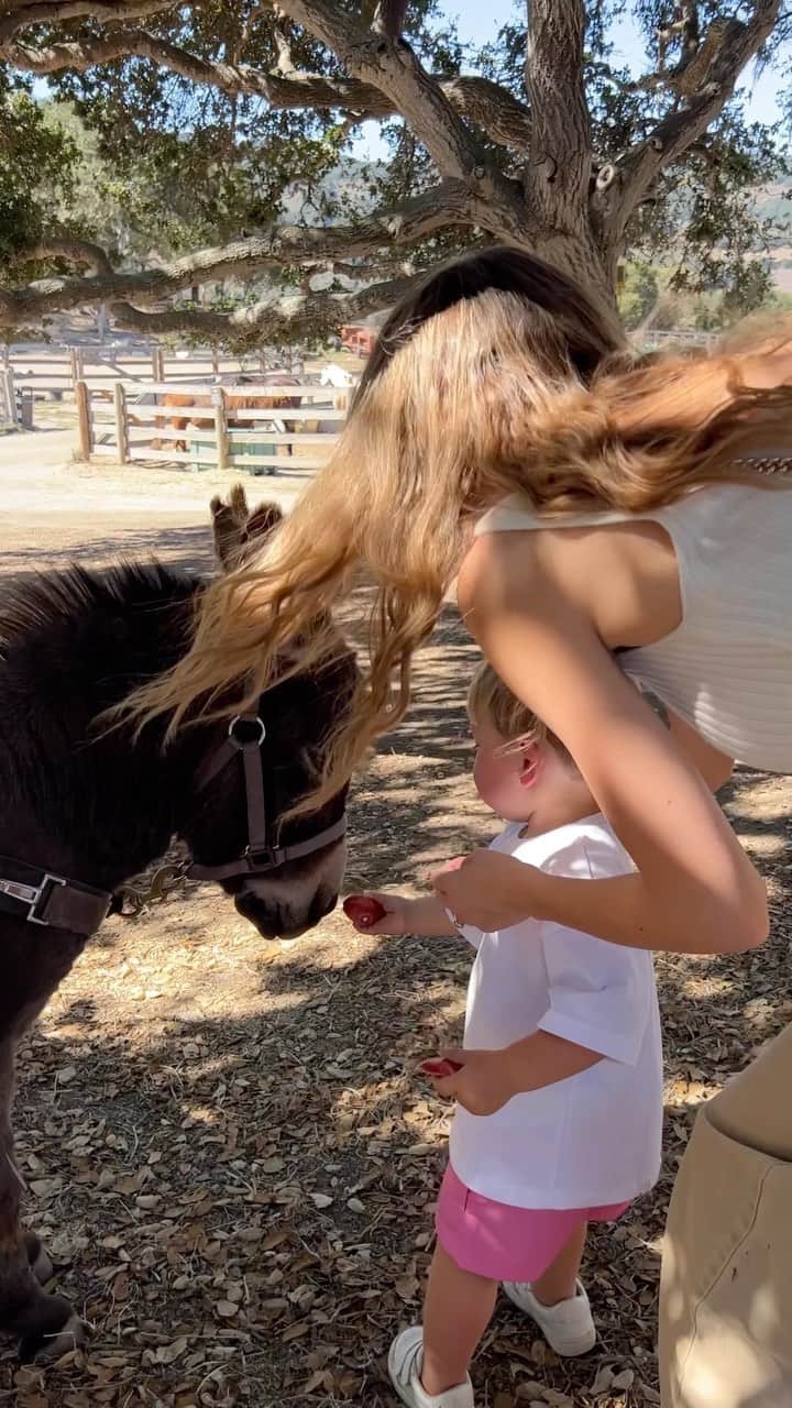 ケイトリン・カーターのインスタグラム：「fall has always been my favorite season, but fall @carmelvranch my the kids took it to a whole other level. I’ve never been to a more family-focused resort that still felt so luxurious and peaceful. we took the kids on a picnic with the resorts mini donkeys, Pablo and Paco, they feasted from the kids buffet while Kris and I enjoyed fall harvest features from the menu, we took the short drive into town to splash in the ocean and jump in the sand, roasted s’mores and saw some of the leaves changing color on a crisp fall morning. so many best parts. 🤍🤍」