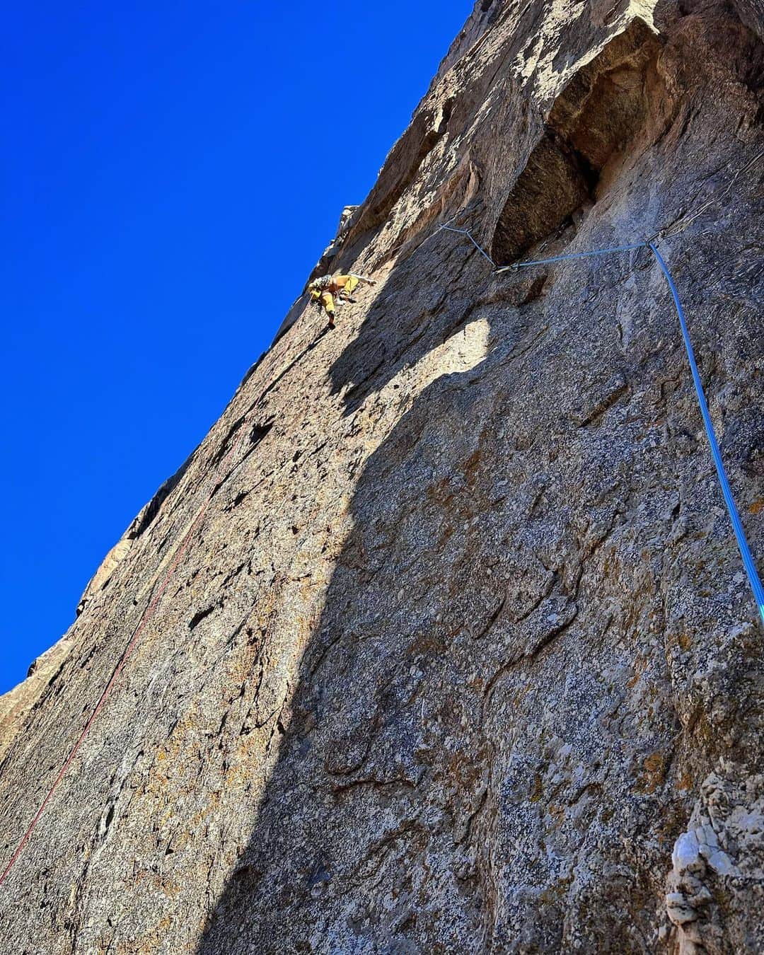 ヘイゼル・フィンドレーさんのインスタグラム写真 - (ヘイゼル・フィンドレーInstagram)「Me: “I’ve barely been on a rope this year (let alone trad or big days) so let’s ease into the trip with some chill trad cragging”.  Also me: “Let’s try one of the hardest and most infamous routes in Black Canyon that’s stacked at 5.12+/13- and loads of the pitches are R rated. And also let’s try most of the pitches ground up in the baking sun without enough water”   Angus: “Sound 👍 “   🤦🏼‍♀️  @angus.kille @blackdiamond @lasportivagram @strongmind.climbing #theblackcanyon #hallucinogenwall」10月11日 2時50分 - hazel_findlay