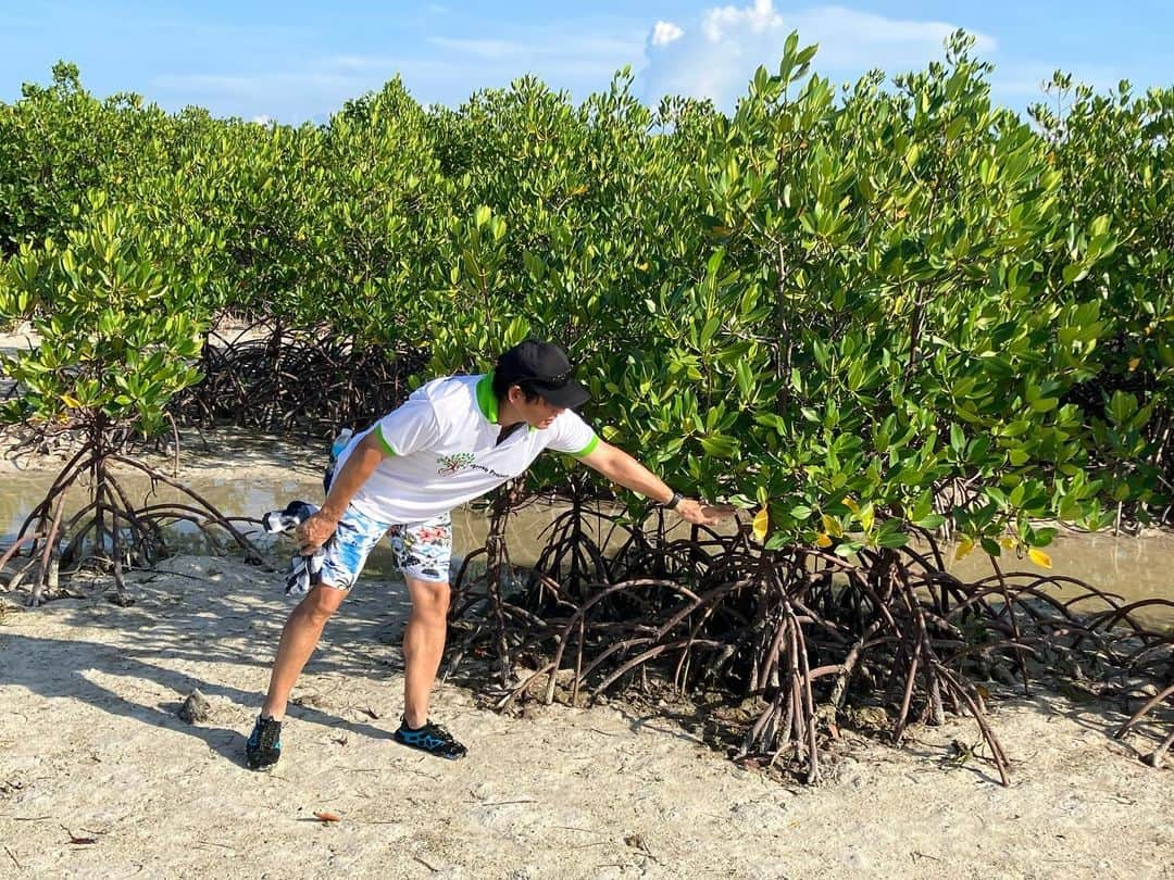 池谷幸雄さんのインスタグラム写真 - (池谷幸雄Instagram)「カネパッケージさんのマングローブ植樹活動に参加させて頂きました🌲 カネパッケージさんは、14年間で1,330万本以上の植樹を行っているそうです。 CO2削減について考え直すとても良い機会となりました。 僕も出来ることから続けていきたいと思います。 現地のカネパッケージの皆様、大変お世話になりありがとうございました❕ #カネパッケージ #オランゴ島 #sdgs #マングローブ #植樹 #co2削減」10月11日 2時45分 - yukio_iketani