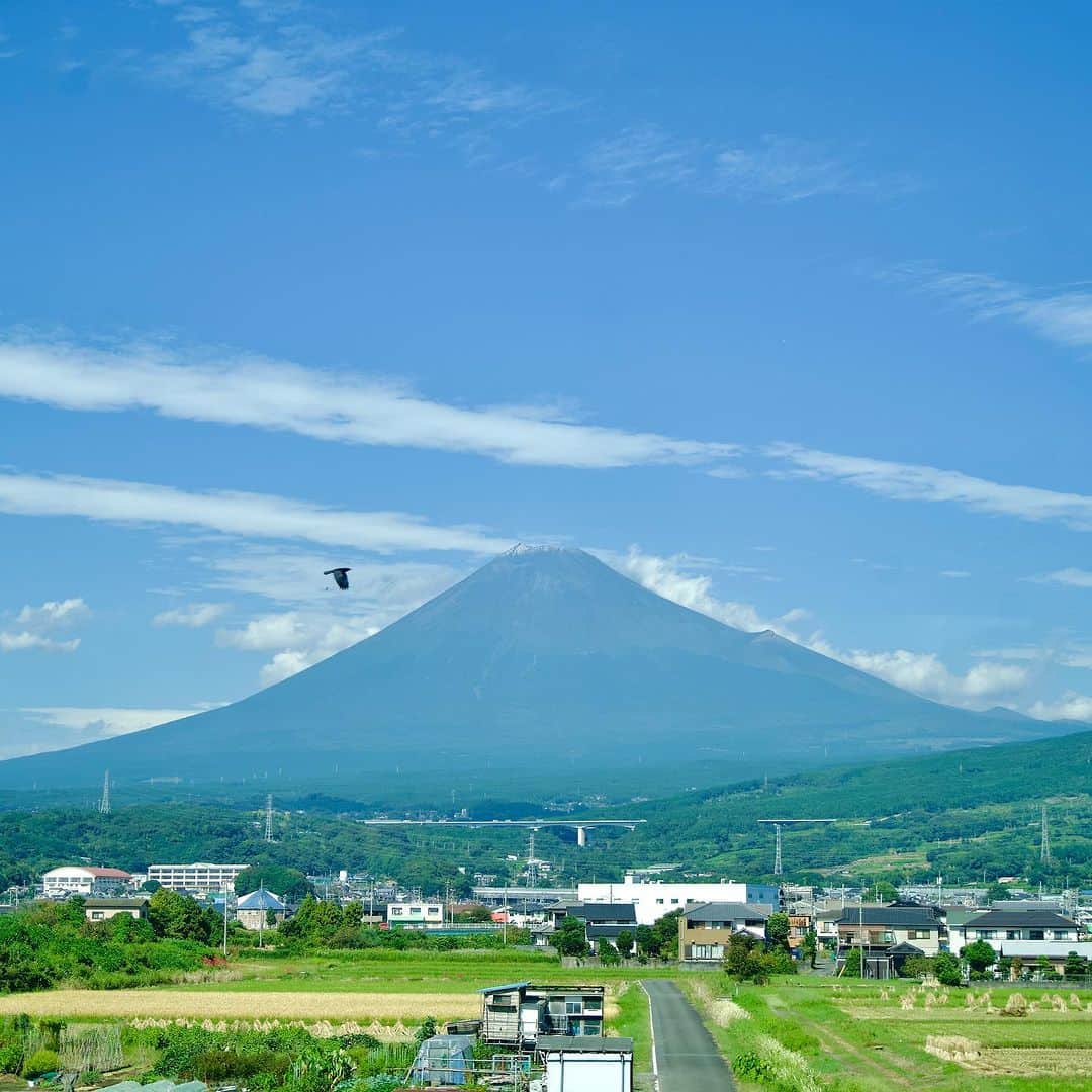 けらえいこのインスタグラム：「帰りの日は富士山が初冠雪したというので、新幹線から持っていた一眼レフで撮りました。そこに鷹らしきものが写っていてびっくり。めちゃくちゃおめでたくないですか？㊗️✨私を追って戻って来たの？✨とかまで思いながら家で拡大してみたところ‥‥‥  カラスでした‥‥‥😂  ３枚目以降はいろいろ撮れていたものぜんぶです。プロの方に同行したので、私のカメラの設定（コンティニュアスなんとか）を教えていただき、燕さんまで撮れていますが、撮っている時は見えてないんですよね。あとで拡大してワーキャー言うのが楽しいです。  伊良湖の話おわり」