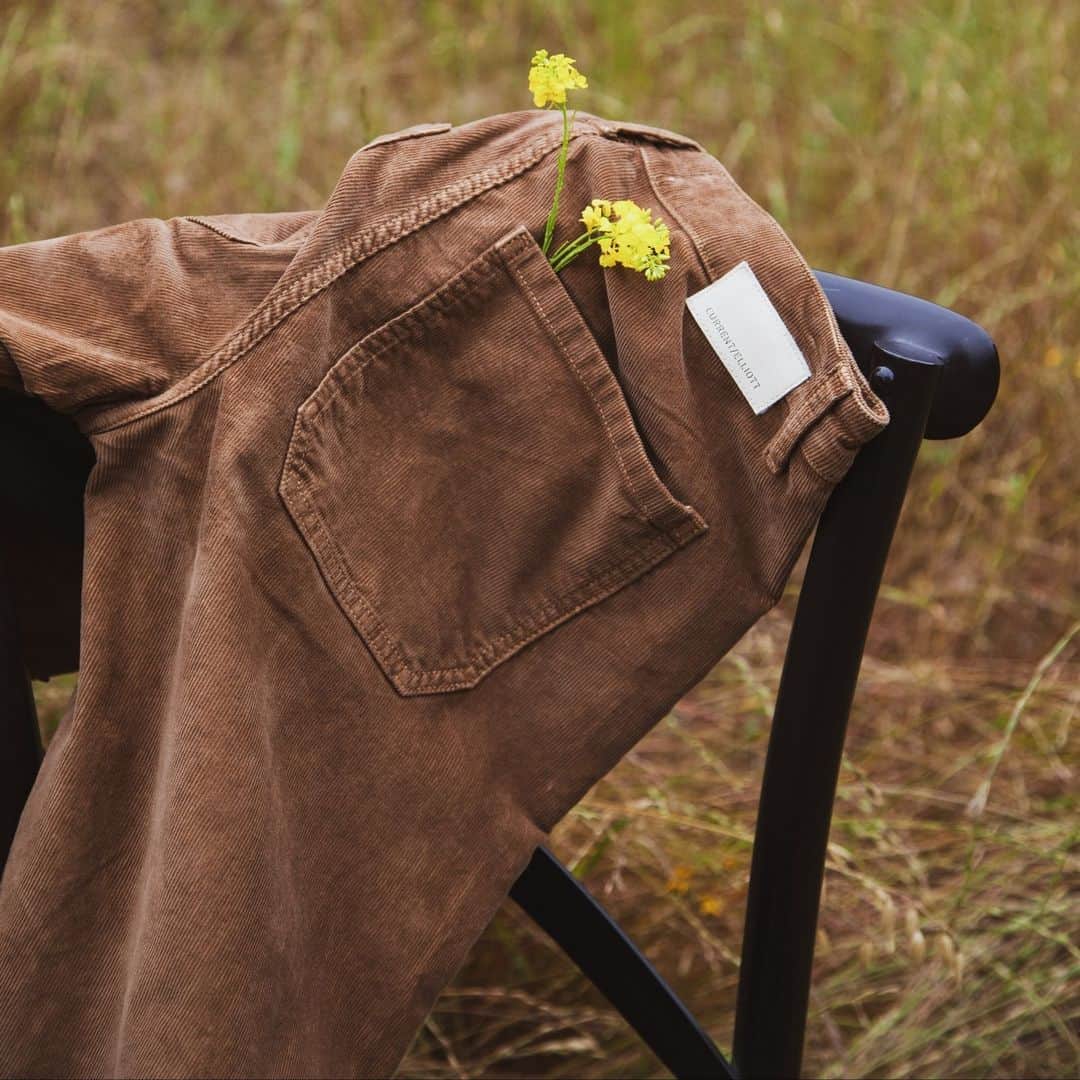 カレントエリオットのインスタグラム：「Full of surprises.」