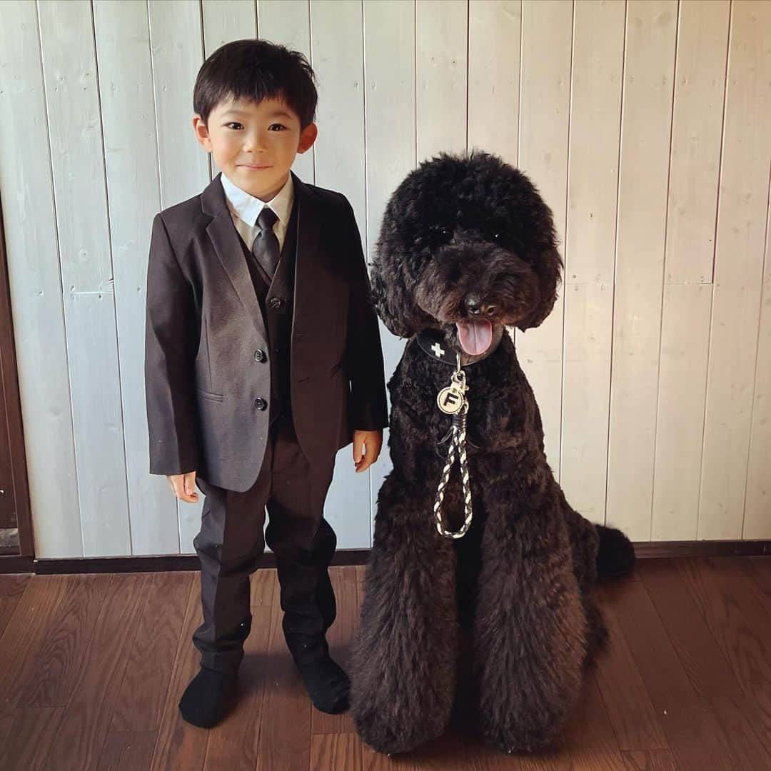 たまねぎさんのインスタグラム写真 - (たまねぎInstagram)「. . 我が家のイケメンズ ブラックバージョン💕  #standardpoodle #スタンダードプードル #poodle #大型犬 #犬と暮らす #いぬなしでは生きていけません  #同胎犬 #フランソワ王国出身 #大型犬との暮らし #孫 #大型犬と子ども #7回忌用スーツ」10月11日 15時02分 - tamanegi.qoo.riku