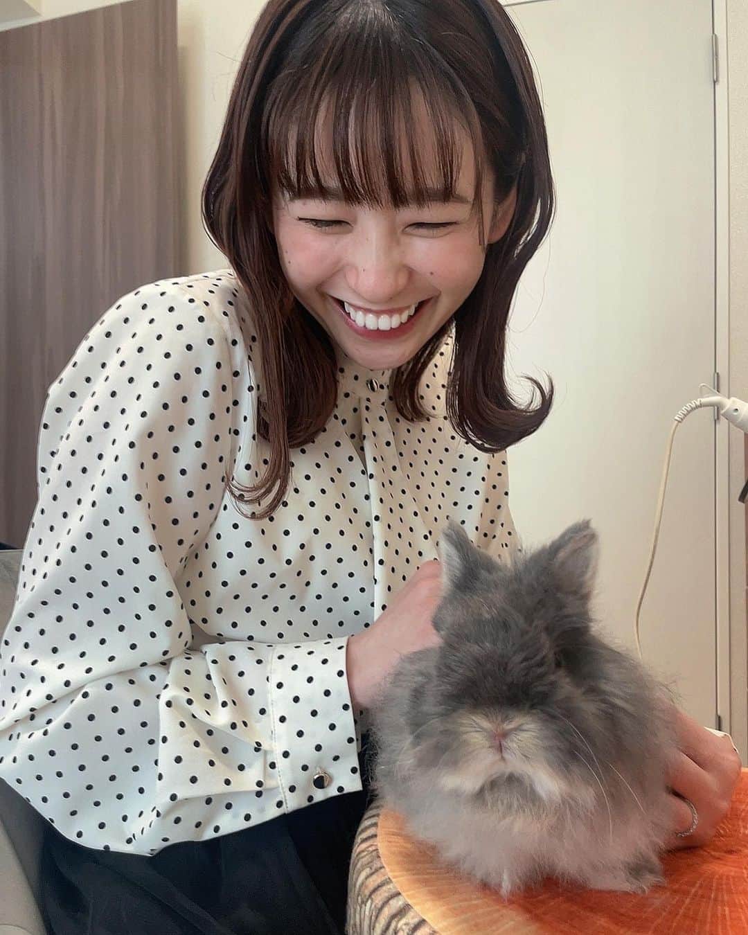 高山奈々さんのインスタグラム写真 - (高山奈々Instagram)「. みーちゃん家のわたげさん🐰に会いに行った日💕  ※これから少しずつ過去の写真を投稿しようと思います！ かなりの時間差投稿許してね笑  #うさぎ #わたげさん #かわいすぎてずっと眺めてた」10月11日 15時21分 - chan_nana617