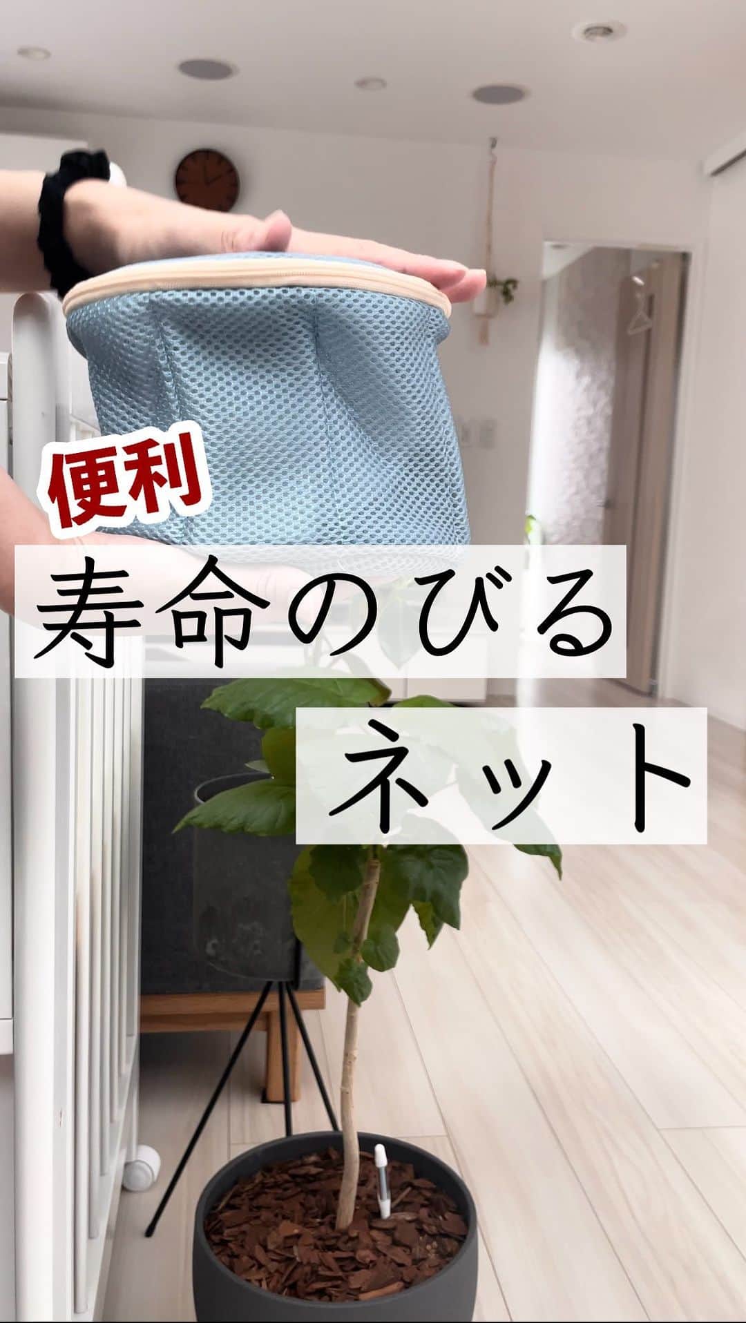 ともぞーのインスタグラム：「ぶ、ブラって手洗いされてますか…？！ ブラ屋さんにいったら一度は言われたことのある「ブラは手洗いで」でも私はちょっと無理なのでコレ買ってみた！  同じ形のものが100均とかにあったけど、 こんなふうにフタやシリコンゴムのものは初めてみました！ こんなのあったらいいなーがあった感🏇💋  ともぞールーム 「洗濯ネット」で検索したらたぶんでます！  ※たまに1036円になるクーポン出るよ！！今出てます！10/11 16:15  みてみてねー！  ✄-——————‐✄　　　　  プチプラで気分があがるモノ あると最高に便利なアイテム ママのゆるーい生き方を発信してます  @tomozo___life  ※おふざけ多し  ✄-——————‐✄  #暮らし　#暮らしを楽しむ #暮らしの記録 #便利グッズ」