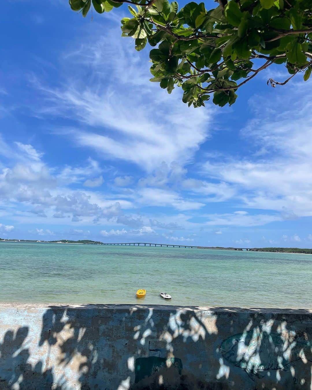 農海姫夏さんのインスタグラム写真 - (農海姫夏Instagram)「宮古島の投稿これで最後ー！ 遠目に海亀もみえて可愛すぎた🐢 7枚目は大好きなガーリックシュリンプ🧄 #ハリーズシュリンプトラック  #宮古島」10月11日 16時01分 - hina_noumi