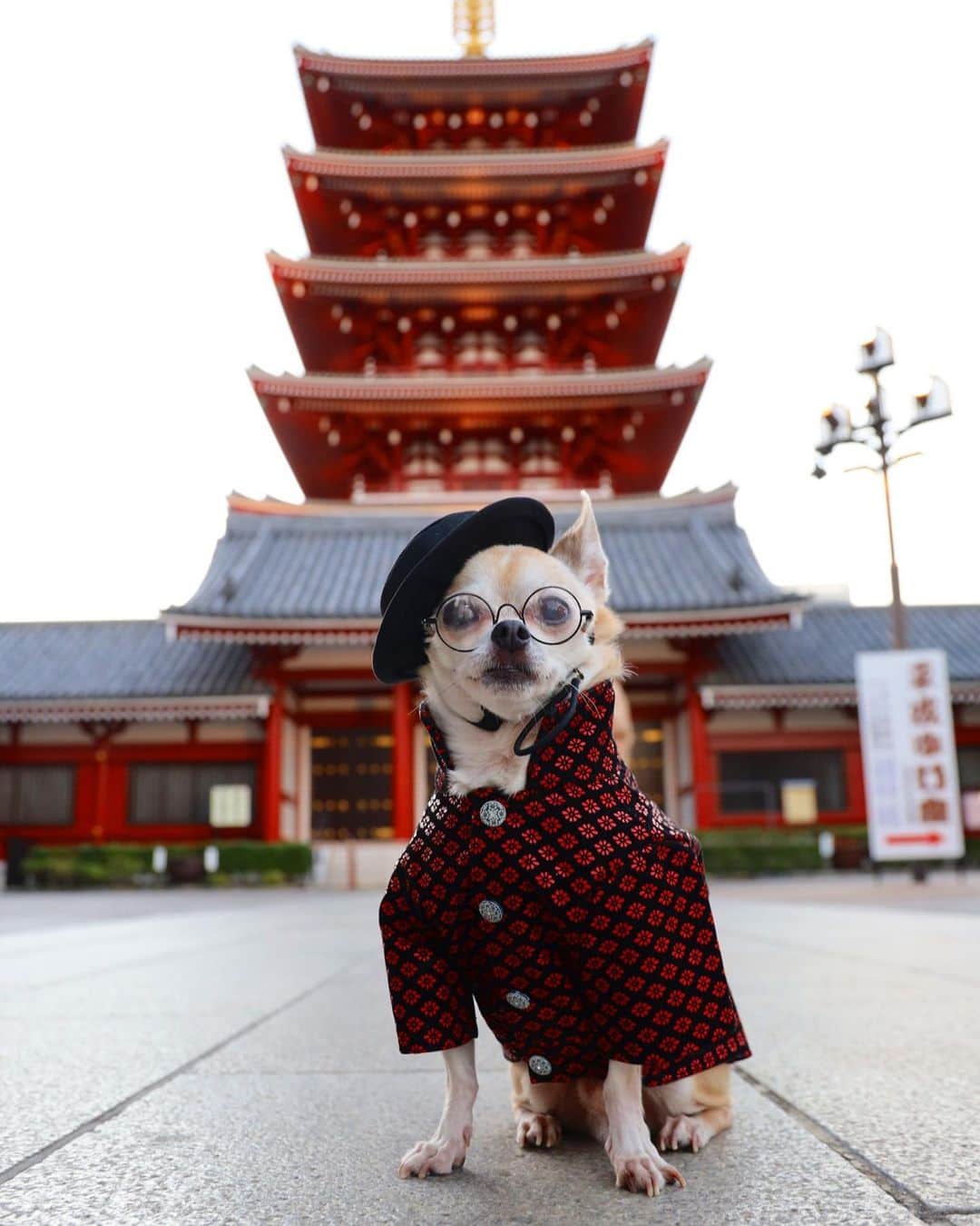 紋次郎のインスタグラム