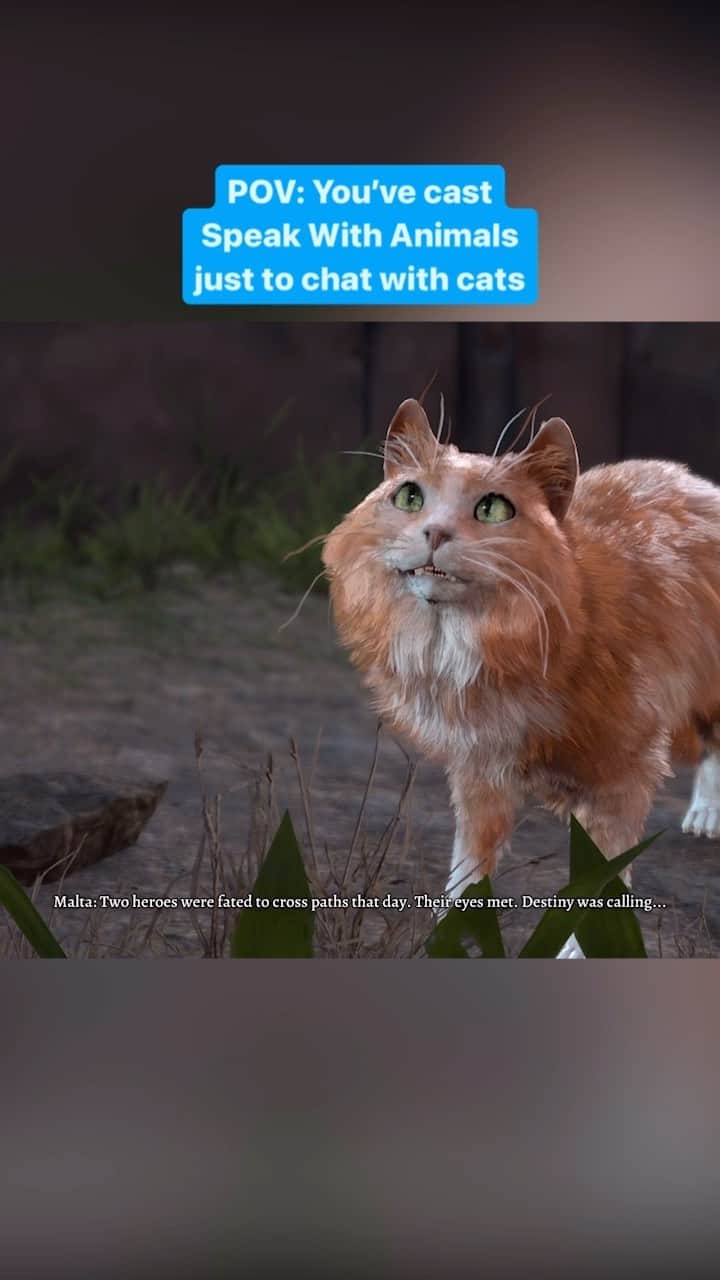 PlayStationのインスタグラム：「Riveting conversation can be found all across #BaldursGate3, but nothing beats chatting away with cats. 😸」