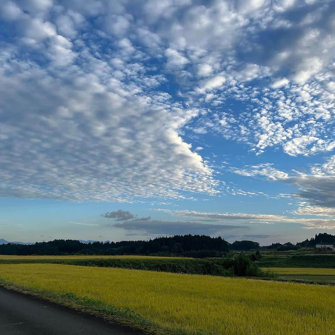 齊藤美絵さんのインスタグラム写真 - (齊藤美絵Instagram)「世界的…いぇ、宇宙的ジャズギタリスト 小沼ようすけさん @yosukeonuma_official  10/26(木)大分ブリックブロック @oita_brickblock  10/28(土)竹田ギャラリーコネクトプラス(Hi!Yoriyo) @gallery_connect.plus  に降臨します🪐✨  圧倒的な超絶ギターであり、 自然や宇宙からのエネルギーを受け取り 奏でる小沼さんのギター。  FM横浜で、ゲストにお迎えしてから、 15年以上ご縁をいただいていて、 恐らく人生で一番ライブに行っている方。  江の島でプロデュースした ライブイベントに出て下さったり、 震災後すぐに石巻や気仙沼にご一緒してくださり、 当時、音の消えてしまった場に 美しく柔らかな音色を届けていただきました。 ライブ後に涙を流して喜んでくれたおばあちゃんや 思わずギューッとハグしてくれた小学生のこと、 忘れられません。  今回、ソロアルバムリリースとなり、 製作前に一度竹田を訪れてくださって、 清滝や籾山神社、久住高原へ。 アルバム完成したら、 ここで是非ライブをと 言ってくださっていたことが実現します🌈  大分・竹田はJazzがお好きな方も多いので、 是非お越しいただきたいですし、 Jazzやライブというキーワードに これまでご縁が無かったという方も、 Jazzは敷居が高い…なんて思っていた方も、 小沼さんの創り出す世界の中に 身を置いていただきたい🌏🌿✨ 固定観念が完全に変わります。  豊かな自然の中に浸っているときの心地善さ。 幸波動のエネルギーで細胞が満たされる感覚！  普段から土や稲、野菜、果実に触れる 生産者さん達にもこのヒトトキだけ是非✨ とお伝えしたい。  10/26(木)は午後7時〜大分ブリックブロックで。  10/28(土)は、午後2時〜ギャラリーコネクトプラス (Hi!Yoriyo)にて。 この日は、事前予約で、 小沼ようすけさんのアルバムをイメージした ランチボックスをEarthFoodLab.が🍽️🌿 ランチとアートを楽しんでから、 小沼さんのギターに浸っていただきたいです。 (※ご予約は各会場にお願いします🙏)  ハーヴェストムーン直前の満ちるタイミング🌕  両ライブとも、マウイ島に行ったことのある 小沼さんのご厚意で、チケット代の一部を マウイの山火事で被害に遭われた スッシーさんご一家への義援金にします と言ってくださり、 さらに、両会場の皆さまのご厚意で 義援金箱を置かせていただきます。  心より感謝🙏🌈  音楽関係者の予約も入り始めたタイミングで、 とある竹田の青年から 「小沼さんが竹田に来るなんて 最高に嬉しいです！ いつか小沼さんのライブに行くのが 夢だったんです！！！」と 熱い想いを聴かせていただきました。  ブルーノートなどでも常に満席の小沼さんが、 大分や竹田にも来てくださり、 地元プライスでライブをやってくださる。 本当に大事なものとか大切にしているものが、 とても純粋で、無我の愛な方。  ソロアルバムを娘と聴きながら、 今月末にお迎えし、 大分・竹田の地で 生音を体感できること、 心から光栄に想い、楽しみにしています。  小沼さん、ありがとうございます🌏🌿✨  #大分　#竹田 #oita #takeTa #小沼ようすけ #ライブツアー #ソロアルバム #yoursmile #ブリックブロック #ギャラリーコネクトプラス #jazz  #jazzguitarist  #ライブ　 @earthfoodlab  #コラボランチボックス  #ツタエルヒト。」10月11日 7時57分 - saitomie