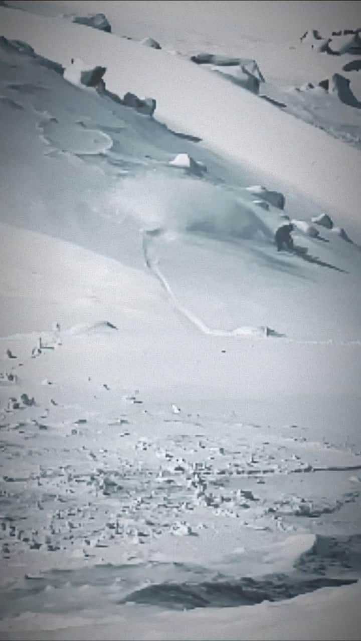 中井孝治のインスタグラム：「コーチ感のないwコーチ達の  #隙間産業 #ゲレンデはアルパイン  @salomonsnowboards @volcomjapan #volcomjapan @platepia_japan #revoltgoggles #segawa_nouen #toko #msrgear_japan #msr #coif #hps #横乗り塾 #いらおじゃ」