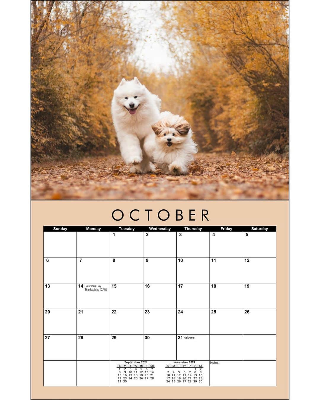 Loki the Corgiさんのインスタグラム写真 - (Loki the CorgiInstagram)「Our 2024 calendars are coming! While we’re finalizing everything, use the code INSTAGRAM for 20% off pre-orders! Each pre-order will also come with 2 new Bear and Momo stickers 🐻‍❄️🐶 Place your pre-order now at www.lokiandfriends.com/calendar (link in bio)! We hope everyone will love the calendar as much as we do ❤️」10月11日 8時33分 - lokistagram