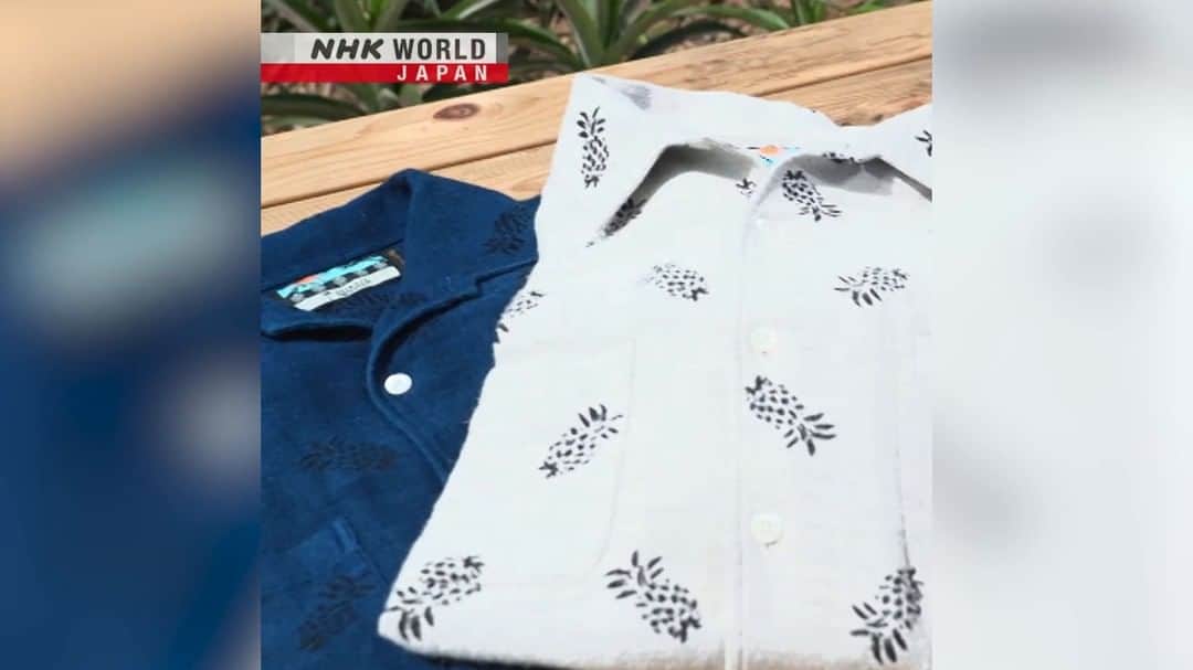 NHK「WORLD-JAPAN」のインスタグラム：「Fashion from fruit!🍍👖🍎👜  Thanks to some fashion-forward thinking, pineapples from Okinawa and apples from Nagano have become a source of material for fashion fabrics and bio leather goods.  They’re also helping local economies and the environment.♻️  👉See the full story and meet the female entrepreneurs behind these environmentally friendly projects｜Watch｜BIZ STREAM: Fruit-Based Fashion｜Free On Demand｜NHK WORLD-JAPAN website.👀 . 👉Tap in Stories/Highlights to get there.👆 . 👉Follow the link in our bio for more on the latest from Japan. . 👉If we’re on your Favorites list you won’t miss a post. . . #fashioninnovation #fashion #dontwastefood #foodwaste #reducewaste #consciousconsumer #japanproduce #foodjapan #mottainai #もったいない #勿体無い #dontwasteit #japanfashion #syntheticleather #bioleather #pineapplefabric #veganleather #bizstream #okinawa #nagano #japan #nhkworldjapan」