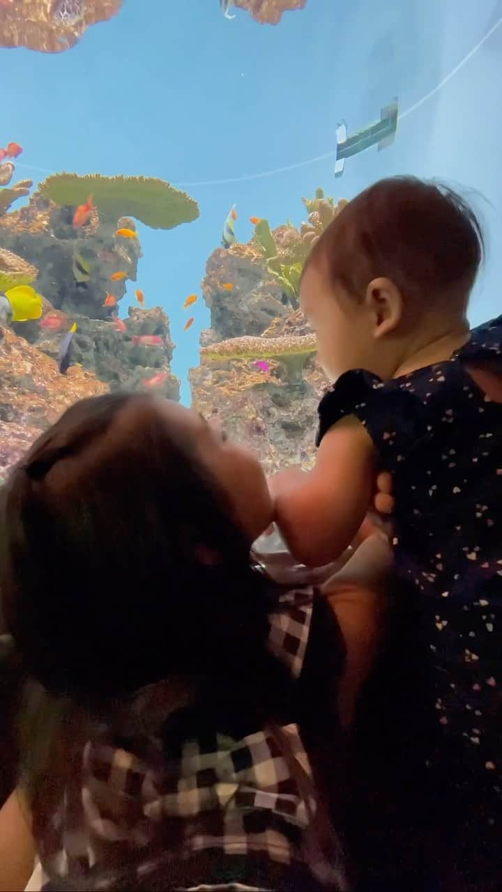 MayaTのインスタグラム：「Long weekend outing :)   #aquarium #水族館　#子連れお出かけ」