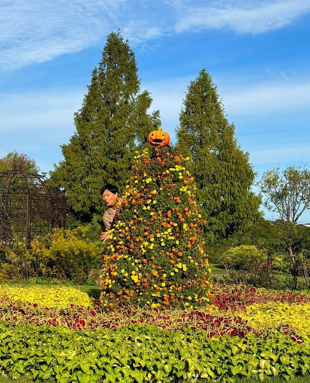 依田司さんのインスタグラム写真 - (依田司Instagram)「10月11日（水） 千葉県野田市にある「清水公園」には、１９０種、１３００株のバラが植えられています。「ローズガーデン」では、秋に花を咲かせる色とりどりの「秋バラ」が咲き始めました。 周囲を木々で囲まれ外から中の様子は見えないので特別なバラだけの空間といった面白さもあります。秋バラは香りが強いのが特長で、特に午前中がおすすめ。見頃は来月中旬頃まで。 また、マリーゴールドなどの秋の花々が盛り。コキアも色付いて来てきましたよ。  #清水公園 #BANANAREPUBLIC #バナリパ #依田さん #依田司 #お天気検定 #テレビ朝日 #グッドモーニング #気象予報士 #お天気キャスター #森林インストラクター #グリーンセイバーアドバンス #プロジェクトワイルド #IPCC伝導者 #japan #japantrip #japantravel #unknownjapan #japanAdventure #japanlife #lifeinjapan #instagramjapan #instajapan #療癒 #ilovejapan #weather #weathercaster #weatherforecast」10月11日 9時21分 - tsukasa_yoda