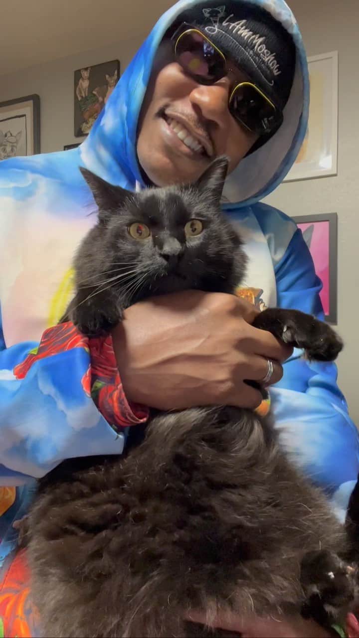 のインスタグラム：「Life has been really crazy and busy, but I hope y’all know that we truly love you. Hope everyone is ok and doing well. Thanks for being here, remember to  love yourself and never stop loving your cats. Let us know if you want more ❤️ #TheCatRapper #ASMR #CatMan #CatDad #Zen #Calm #Meditation #MoGang」