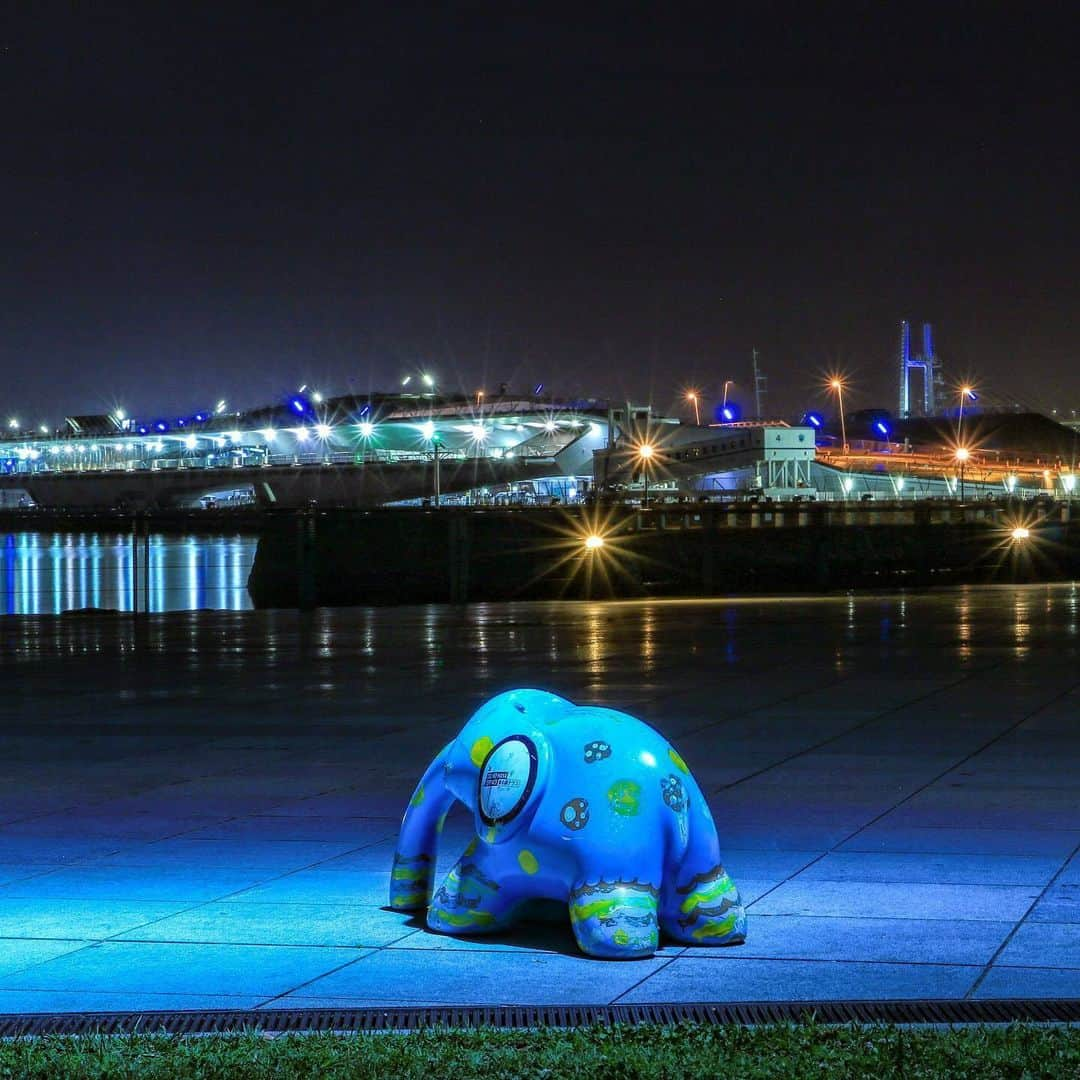 東京カメラ部 横浜分室のインスタグラム：「Photo by @chiyee_sr 「象の鼻パーク」 https://www.instagram.com/p/CxuHDavvLtM/ . いいね！＆コメント大歓迎！ ※投稿に関するご注意・ポリシーは東京カメラ部に準じます。詳しくは下記をご覧ください。 https://fb.minpos.com/fb/willvii/camera_jpn/static/guideline . #みなとみらい線フォト散歩 #みなとみらい線フォトさんぽ #みなとみらい線 #横浜 #新高島 #みなとみらい #馬車道 #日本大通り #元町中華街 #yokohama #東京カメラ部 #Japan #photo #写真 #日本 Follow: @TCC.Yokohama . ※各種法令、マナー、関係者の指示に従った撮影をお願いします。 *Please ensure that your photography adheres to all relevant laws, etiquette, and instructions issued by authorized persons.」