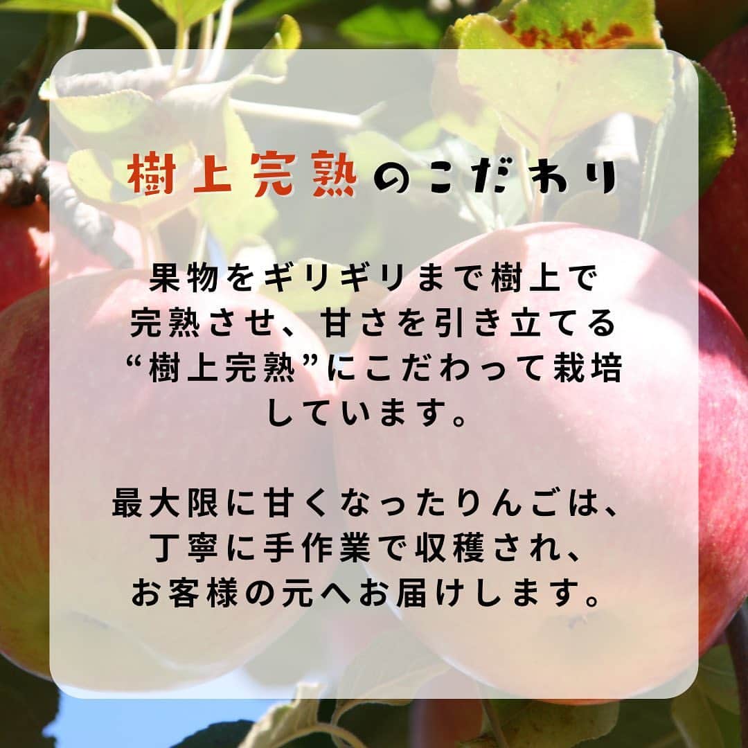 Sumifruさんのインスタグラム写真 - (SumifruInstagram)「🍎今が旬の食べごろ完熟りんご🍎  スミフル公式通販「スミフル美味しいマルシェ」から おすすめ商品のお知らせです！  今回ご紹介するのは、長野県産『樹上完熟りんご』🍎 果物や野菜の栽培に最適な土地、長野県松本市波田地区で栽培した、甘くて美味しいりんごの名ブランド『シナノスイート』と『サンふじりんご』を産地直送でお届けいたします🌟  こだわりポイントは樹上完熟🌳 樹上完熟とは…果物をギリギリまで樹上で完熟させることで、甘さを引き立てる完熟方法。 最大限に甘くなったりんごは、丁寧に手作業で収穫されお客様の元へお届けします。  ご注文時期に合わせて収穫したばかりの品種をお届けいたします🚛 糖度が高く香りの良いシナノスイート🍎：10月上旬〜下旬 果汁が多く芳香で蜜の詰まったサンふじ🍎：11月中旬〜下旬 （※収穫時期は目安となっております。）  信州の環境にやさしい農産物認証を持った生産者が、発酵肥料を使用し土の酸化を防ぎ健全で健康な土づくりの上、安心安全で美味しいりんご作りにこだわっています。  美味しい季節のフルーツをお取り寄せできるのは『スミフルの美味しいマルシェ』🌟 とびきりおいしい農産物を皆様にお届けしているので、ぜひサイトを覗いてみてくださいね。  #りんご #長野産 #産地直送 #フルーツ #旬のフルーツ #果物 #おやつ #お取り寄せ #秋の行楽 #お弁当 #スミフル #マルシェ #スミフルの美味しいマルシェ #ギフト」10月11日 18時00分 - sumifru_banana
