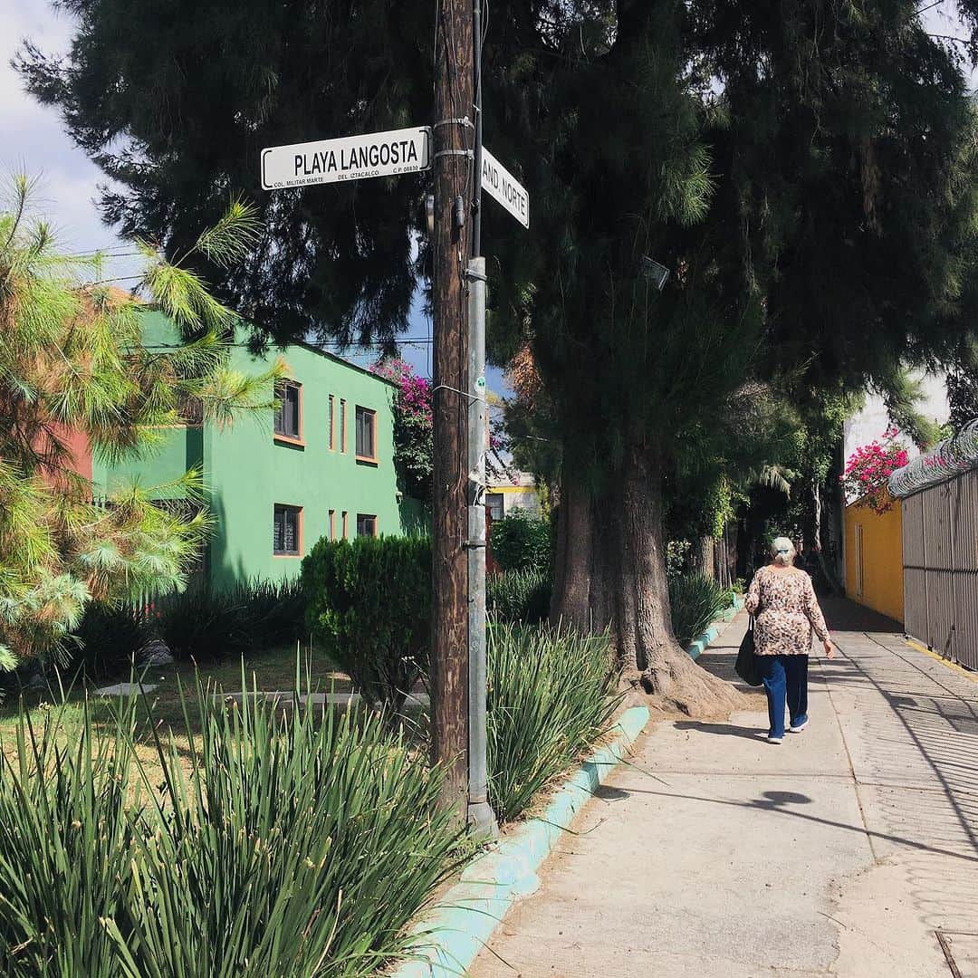 三角みづ紀さんのインスタグラム写真 - (三角みづ紀Instagram)「きょうは15キロくらい歩いていました。歩くのすきです。出会った風景。 #メキシコ　#メキシコシティ #詩人 #エッセイ #旅　#旅行 #中南米旅行」10月11日 11時46分 - misumimizuki