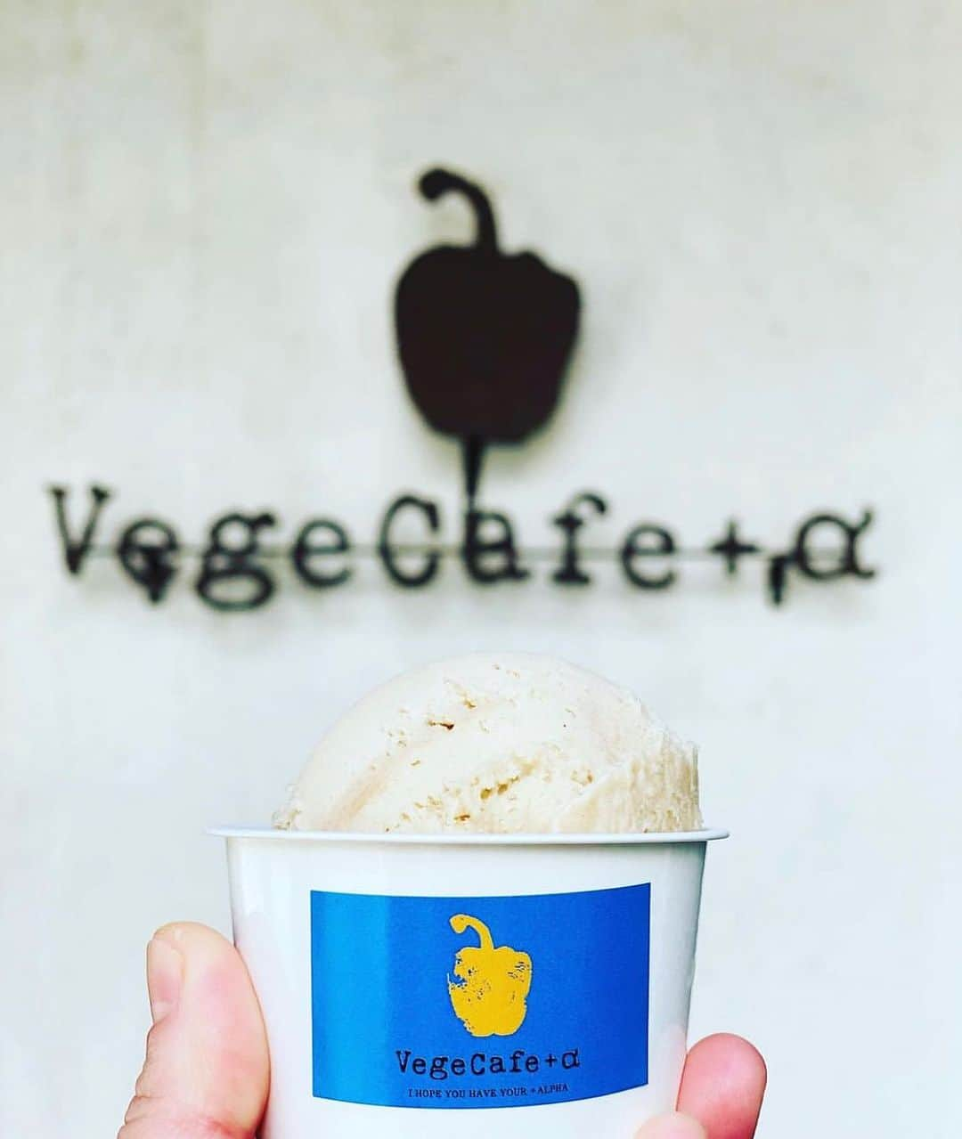 vegecafe＋αさんのインスタグラム写真 - (vegecafe＋αInstagram)「シルクスイートのホクホク焼き芋🍨  秋限定のフレーバーのご紹介♫ ジェラートなのか！？ これはもう焼き芋🍠なんじゃない！？  というくらいお芋感🍠🍠が凄い✨ ミルクを使用していないのに 濃厚なジェラート🤩  ぜひ秋限定ジェラート 食べに来てください😆♫  #vegecafe #ベジカフェプラスアルファー #ベジカフェプラスアルファ#大阪カフェ巡り #大阪カフェ部 #新大阪グルメ#新大阪カフェ#西中島グルメ#西中島南方グルメ #ジェラート#アイス#アイスクリーム#野菜たっぷり#野菜たっぷりランチ #西中島南方カフェ #西中島南方ランチ #新大阪ランチ #ジェラート屋さん #ジェラート部#おいもスイーツ #アイス部」10月11日 12時33分 - vegecafe_plus_a