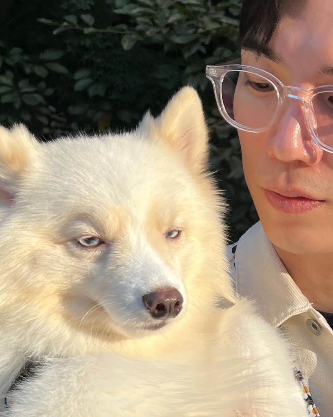 ト・サンウさんのインスタグラム写真 - (ト・サンウInstagram)「🤓🫰🐕‍🦺」10月11日 12時44分 - sang_____w