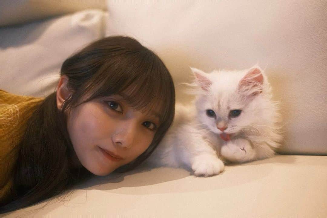 のインスタグラム：「母と取り合いと撮り合いした時の写真😺 #大福」