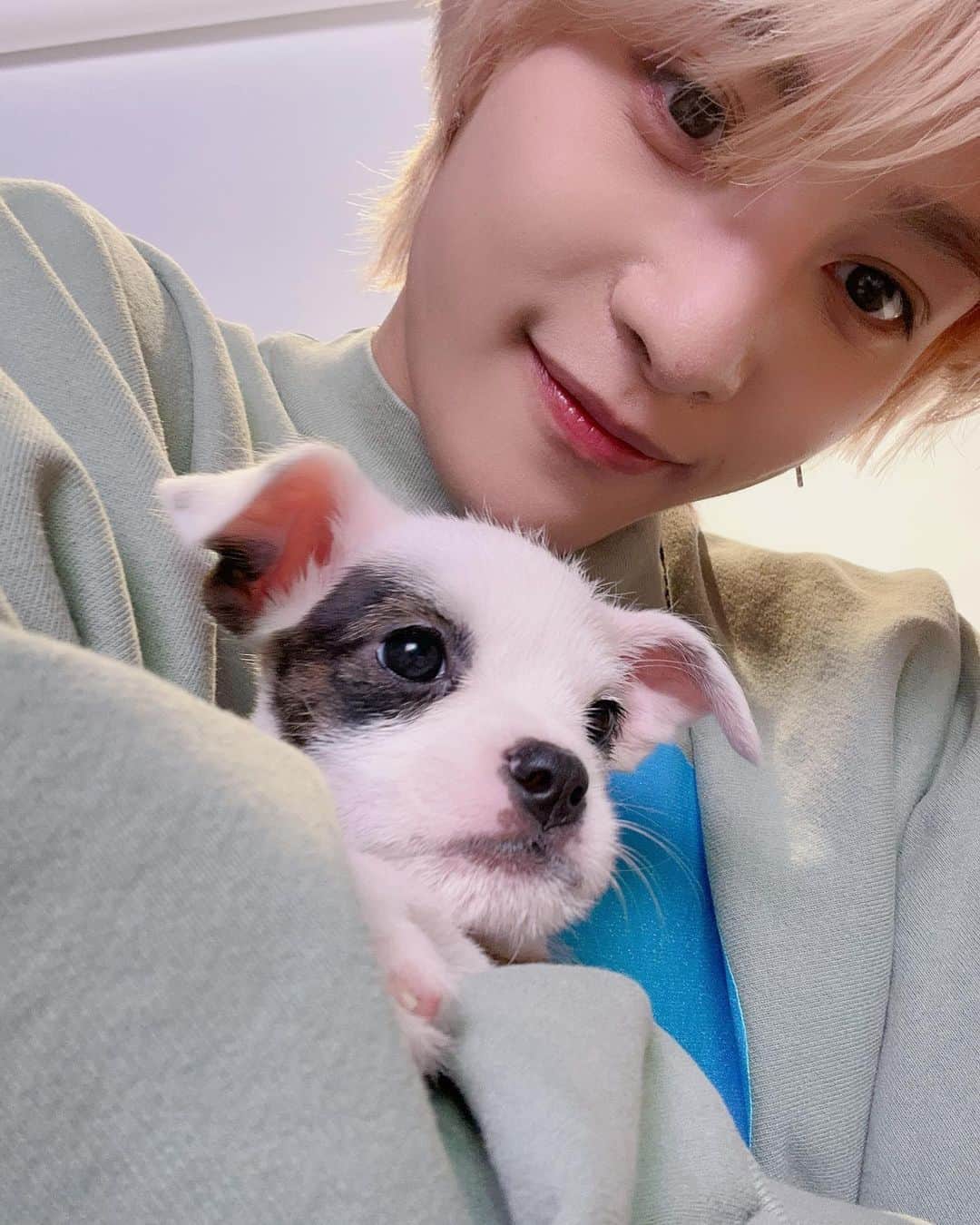 ヤンヤン（YangYang）のインスタグラム：「Thank you @buzzfeedceleb for giving us such a cute interview❤️❤️ hope to do another puppy interview in the future!!」