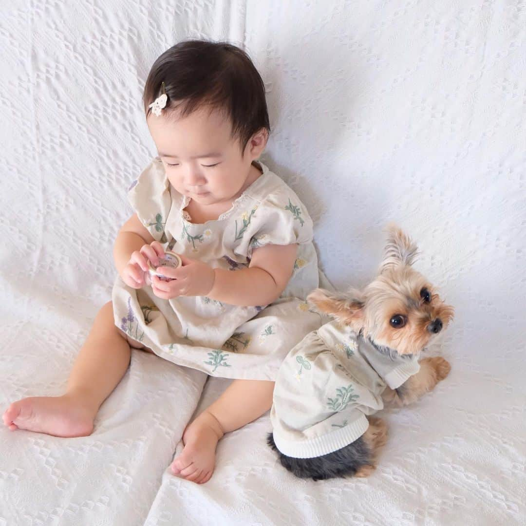 筒井萌子のインスタグラム：「*  　夏に岡山へ帰った時の思い出ෆ 　うにいくらほたて🐶👶🏻 　お揃いの柄のお洋服❀´- 　犬服はお母さんの手作りです𖦊  .  　いくらとほたての距離感🤣 　最初は強引に触ったりしてたけど　 　日が経つに連れて距離感がグッと縮まって 　お互いが優しく歩み寄るようになりました◡̈⃝  .  　実家でプールをしたり沢山友達と会えて 　充実した毎日だったなぁ𓍯  .  　岡山生活で、 　お昼寝30分しかしなかったほたてが 　朝寝昼寝と1時間以上するようになり 　全く食べなかった離乳食をパクパク食べるようになり 　沢山の変化がみられました👶🏻🫧 　長閑な環境が良かったのかなぁ😆  　┈┈┈┈┈┈┈ ❁ ❁ ❁ ┈┈┈┈┈┈┈┈  　#サイベックス #サイベックスメリオ #baby 　#プレママ #出産準備 #生後3ヶ月 #両親学級　 　#プレママ教室 #baby #令和4年ベビー　 　#第一子 #秋生まれベビー #9月生まれ 　#育児日記 #子育て日記 #令和4年ベビー　 　#出産準備 #出産祝い #親子モデル #赤ちゃんモデル 　#ニューボーンフォト #newbornphotography  　#お食い初め #生後100日 #女の子ベビー 　#離乳食 #離乳食準備 #離乳食準備グッズ 　 #10か月ベビー #10ヶ月女の子 #ディズニー」