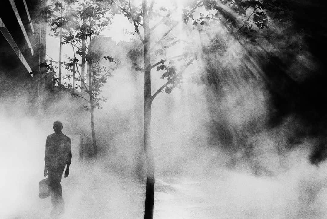 Magnum Photosのインスタグラム：「The exhibition Witness to Nature opened last week at the new @prada pop-up store at Selfridges in London and is showing until November 11. ⁠ ⁠ 150 photographs by Magnum photographers Trent Parke (@chillioctopus), @paolopellegrin, @nannaheitmann, Alec Soth (@littlebrownmushroom), Cristina @lademiddel, Cristina García Rodero, Hiroji Kubota and @newshatavakolian have been brought together to reflect on the relationship between nature and humankind.⁠ ⁠ The installation is part of Prada Reporter, a new initiative that aims to “forge vital connections between fashion and other languages” and support “numerous forms of creativity.” ⁠ ⁠ Over the next three months, the show will travel to Milan, Singapore, Beijing, New York, Seoul, Hong Kong and Tokyo.⁠ ⁠ 🔗 Learn more about our collaboration with #Prada at the link in the @magnumphotos bio.⁠ ⁠ PHOTOS (left to right): ⁠ ⁠ (1) Sydney. New South Wales. Australia. 2001. © Trent Parke (@chillioctopus) / Magnum Photos⁠ ⁠ (2) Namib-Naukluft National Park. Namibia. 2022.© @paolopellegrin / Magnum Photos⁠ ⁠ (3) A group of retirees from the city of Tabriz wades in Lake Urmia’s salty water. As the lake dries, vacationers find fewer places to congregate. Iran. 2016. © @newshatavakolian / Magnum Photos⁠ ⁠ (4) Guilin. China. 1980.© Hiroji Kubota / Magnum Photos」