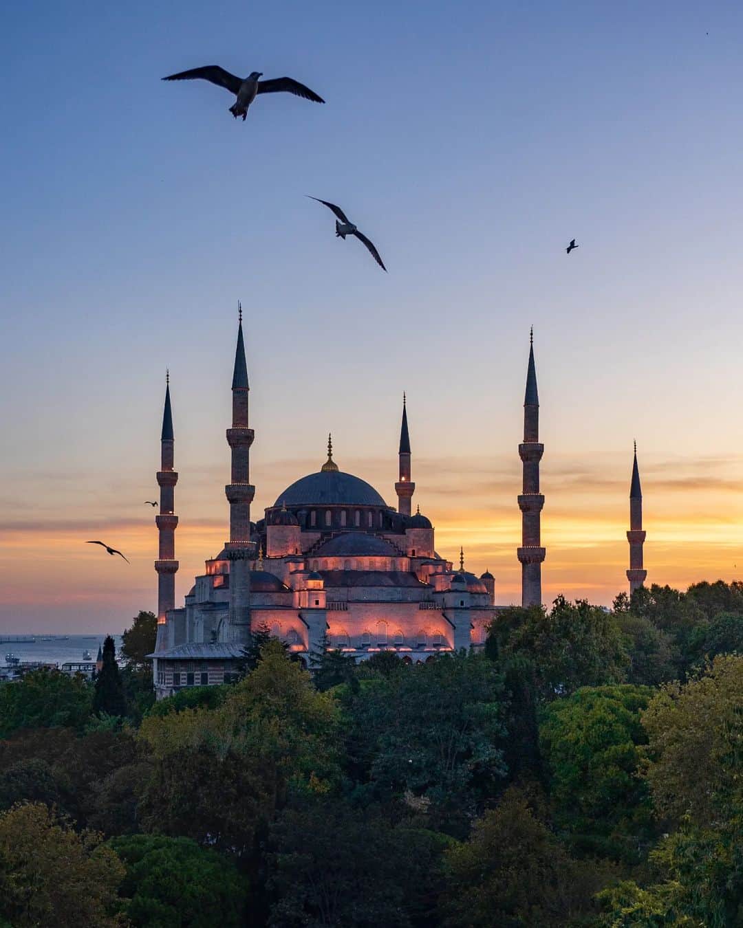 Rich McCorさんのインスタグラム写真 - (Rich McCorInstagram)「ad| For the latest instalment of @radissoncollection’s Art Series I travelled to the world’s only transcontinental city– Istanbul.   The first photo is from the European side where the Fatih district is located—home to the Blue Mosque (2nd photo), Hagia Sophia, Grand Bazaar and some beautiful sunsets. Behind me is Beyoglu (3rd photo) where the City's bar scene and nightlife is at it's best.   I’ve ventured out with my camera across the city and I’ll be sharing some of the things that caught my eye, including a few things at the Radisson Collection Hotel in Vadistanbul such as the incredible pool (in the last photo)  #ArtSeries #RadissonCollection」10月12日 0時39分 - paperboyo