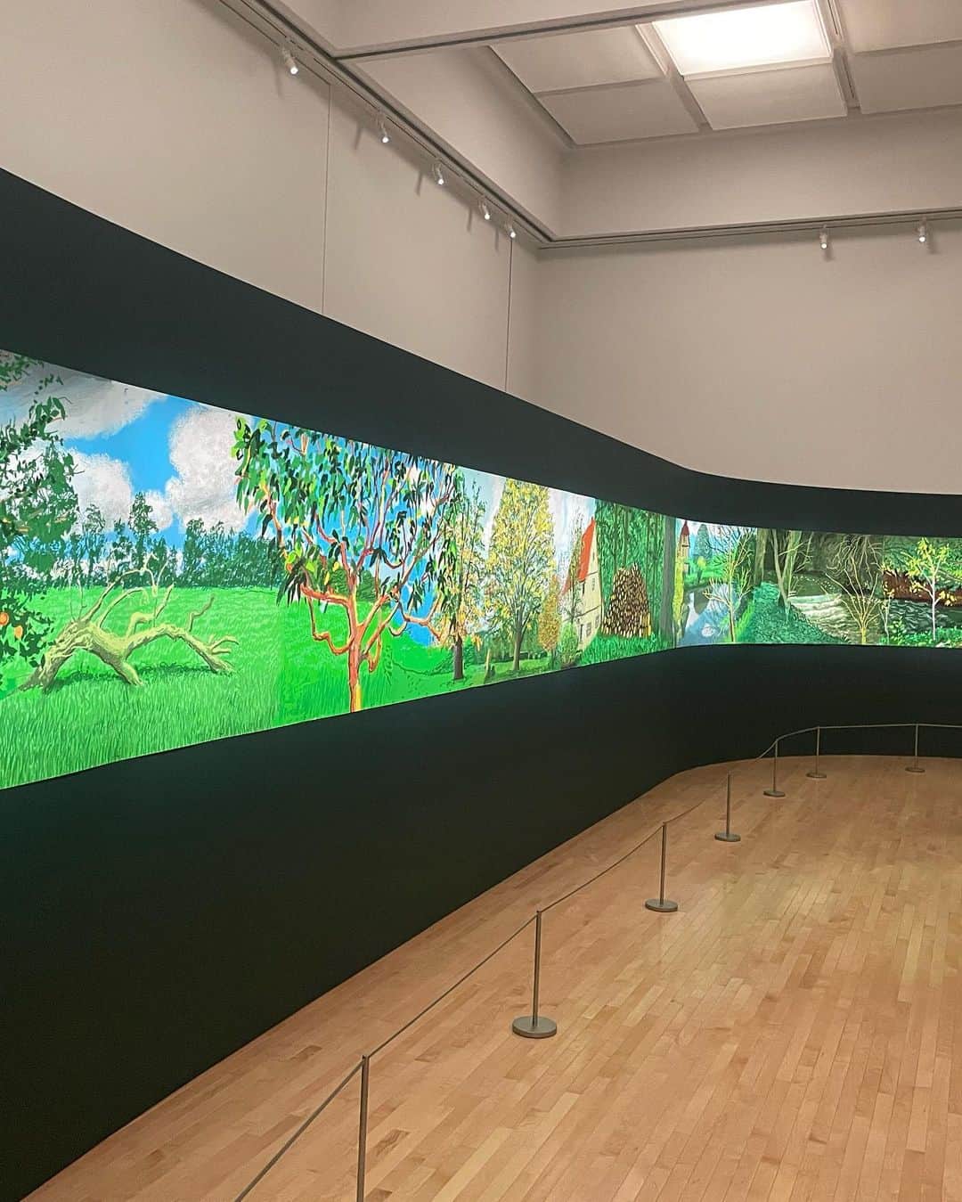 木下ココさんのインスタグラム写真 - (木下ココInstagram)「連休の最後に デイヴィッド・ホックニー展へ🖼️ ・ 近年の暗いムードを明るく吹き飛ばすような鮮やかな色彩が美しく、日本では27年ぶりという大規模な個展は夏から開催しているのにまだまだ人出も多かった👥 ・ 見たままを描くとリアルから遠ざかっていくというホックニーの絵は、何枚見てもとことん絵画で、写実的ではない表現なのに一層リアリティを感じてしまうという不思議さがある。 ・ 肉付けされた内面からは、モチーフの人となりを想像してしまう奥行きがあるようで、ひとつひとつの作品には存在する温度を感じた。 ・ 写実的ではないのにリアリスティック。対義語であるはずの２つが共存してるから矛盾を感じたんだと思う。 ・ ありのままの景色との誤差が、写真との違う絵画（2次元）としてのリアルの探求なのだろうか。 ・ ホックニーの制作の根底に流れ続けている、身近な題材をいかに絵画に移し替えるかという探求に触れる、”絵画”を見る楽しみが詰まった展示に。 ・ 平面へと写し取られた何気なく見過ごしていた世界は、みんなの目にどう映るのかな。 ・ ・ ・ ・ #davidhockney #art #exhibition #mot #展覧会 #芸術 #デイヴィッドホックニー #東京都現代美術館 #木下ココ」10月11日 17時21分 - cocot_chan