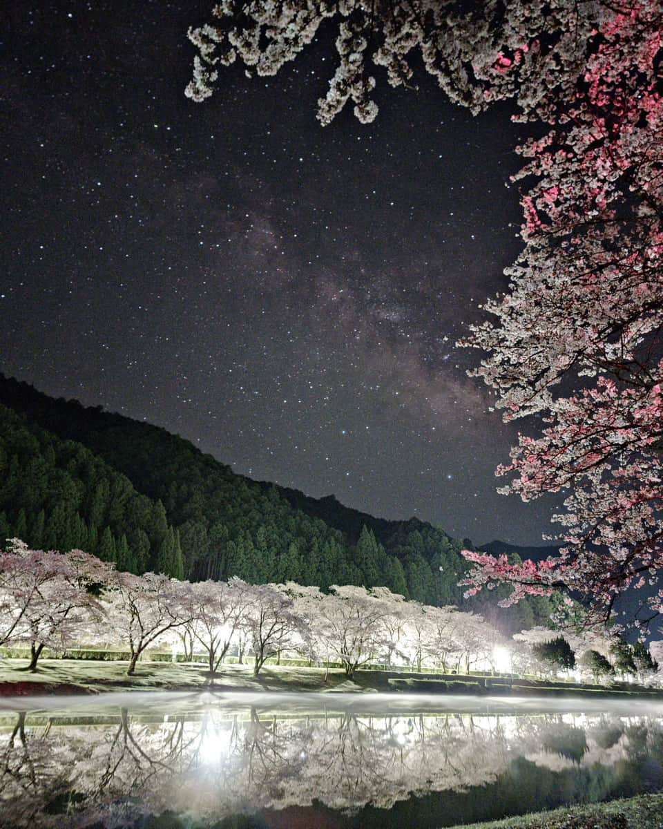 Galaxy Mobile Japanのインスタグラム：「星空と夜桜の幻想的な共演を捉えました📸  Galaxy なら夜間でも絶景を鮮明にキャッチ。 暗い夜ならではの美しさを残したまま、色鮮やかな瞬間を切り取ります✨  本投稿では Galaxy Best Shot コンテストの受賞作品をご紹介。 皆さまも #withGalaxy で投稿してみてくださいね！  #Galaxyのある生活 #Galaxy #Galaxy好き #誰かに見せたい風景 #写真好きな人と繋がりたい #キリトリセカイ #写真で伝えたい私の世界 #カメラ越しの私の世界 #スマホ #スマホカメラ #スマホ写真」