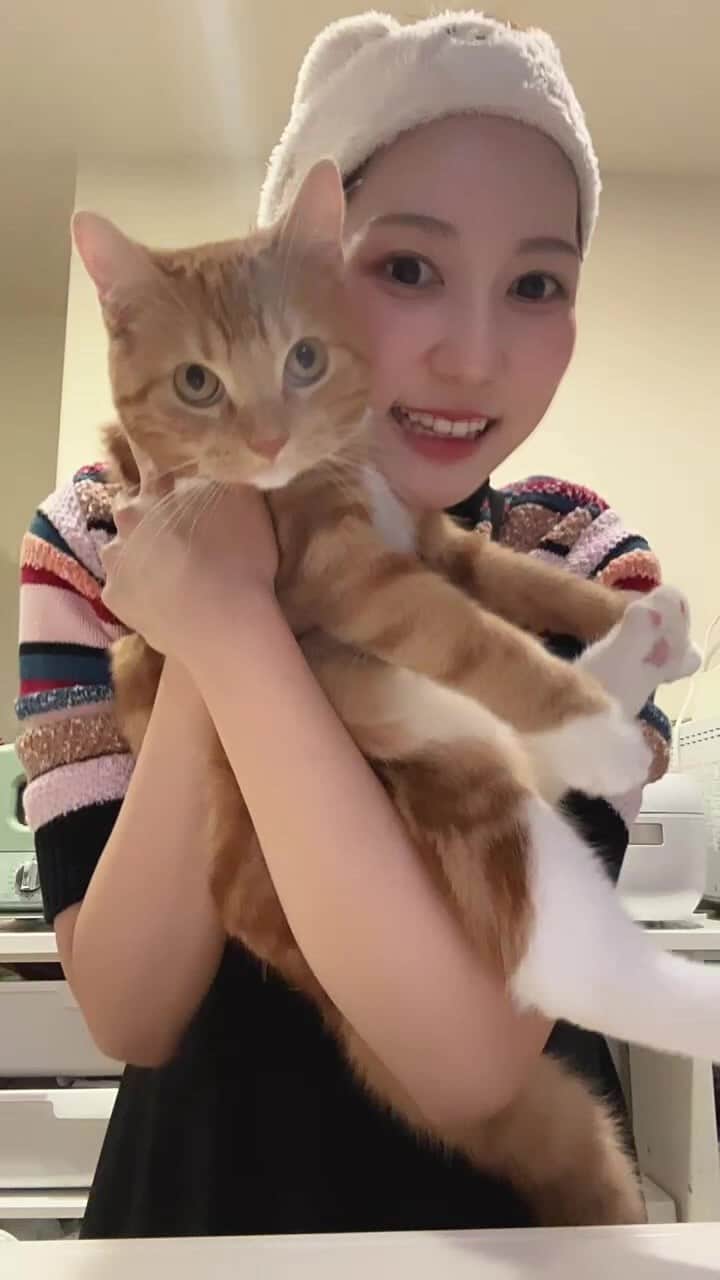 山﨑加奈のインスタグラム：「突然のお料理ライブ、少しだけ残します🐱」