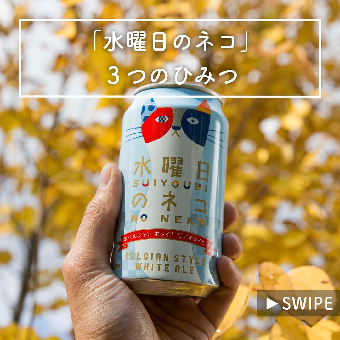 よなよなエール/ヤッホーブルーイングさんのインスタグラム写真 - (よなよなエール/ヤッホーブルーイングInstagram)「【「水曜日のネコ」3つのひみつ🐈🍺】  水曜日のネコ、よく聞かれる質問ランキング～！  1位：なんでそんな名前なの？ 2位：パッケージデザインってどうやって考えたの？ 3位：オレンジピールとパクチーが入ってるってほんと？  今日は、ネーミング、パッケージデザイン、ブルワーが語る開発のひみつについてご紹介します。 == 水曜日のネコについて、他に知りたいことはありますか？ コメント欄で教えてください！ == . . #ビール #クラフトビール  #水曜日のネコ #ベルジャンホワイト」10月11日 18時00分 - yonayona.ale
