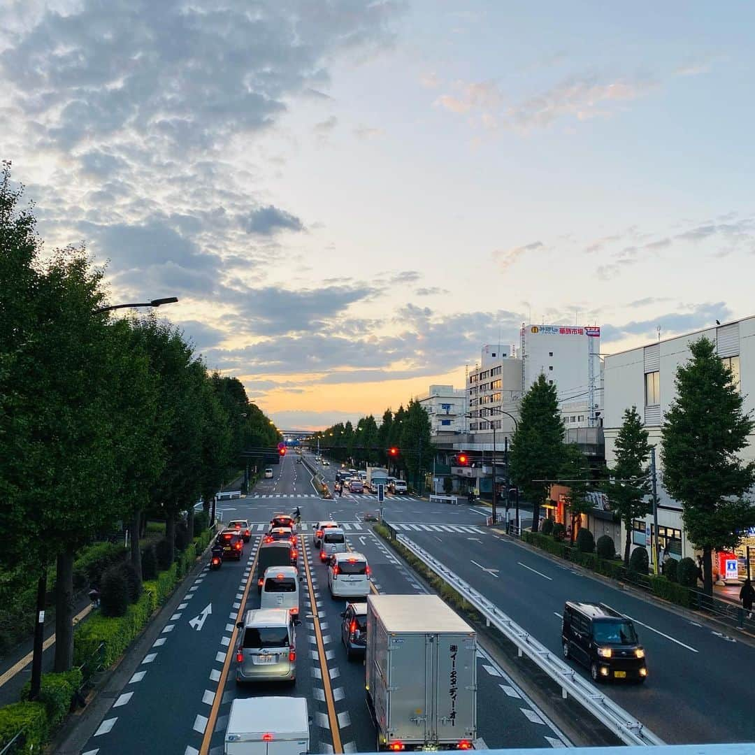 山内マリコさんのインスタグラム写真 - (山内マリコInstagram)「団地団に加入（加入？）して十余年、ついに聖地、高島平団地へ…✨  コンパクトシティとして完璧でした。「団地に住んでる人はみんな団地が大好きで、全然出て行かない」そうです☺️  #高島平団地  #珈琲館イヴ高島平店 #団地団」10月11日 18時13分 - yamauchi_mariko