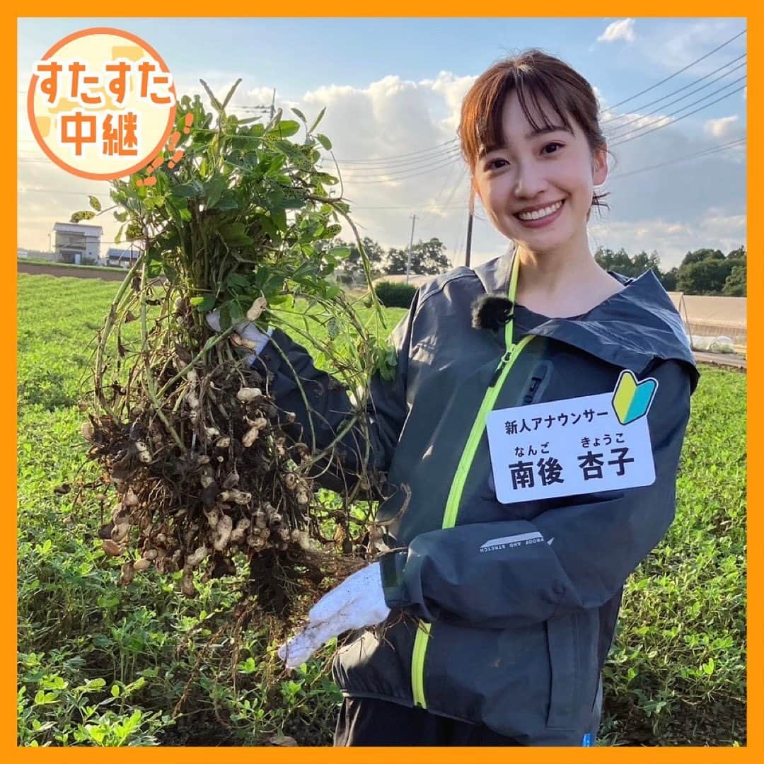 TBS「Nスタ」さんのインスタグラム写真 - (TBS「Nスタ」Instagram)「今日のすたすた中継は 千葉県八街市の落花生のますだ から お伝えしました🥜  中継したのはNスタ初登場❤️💚 今年4月入社の 南後 杏子(なんご きょうこ)アナウンサー🔰  初めて1人で中継をした感想は…？  『事前に直接ますださんに 話を聞いてみて感じられたことが 伝わればいいなと思いながらやりました！  とっても、楽しかったです😊 美味しいを伝えたいなと思ったので 楽しくできたかなと思います！』  本日もNスタをご覧いただきありがとうございました☺️  #TBSテレビ #Nスタ #井上貴博 #ホラン千秋 #日比麻音子 #南後杏子 #落花生 #落花生のますだ #新人アナウンサー #すたすた中継」10月11日 19時03分 - nst_tbs